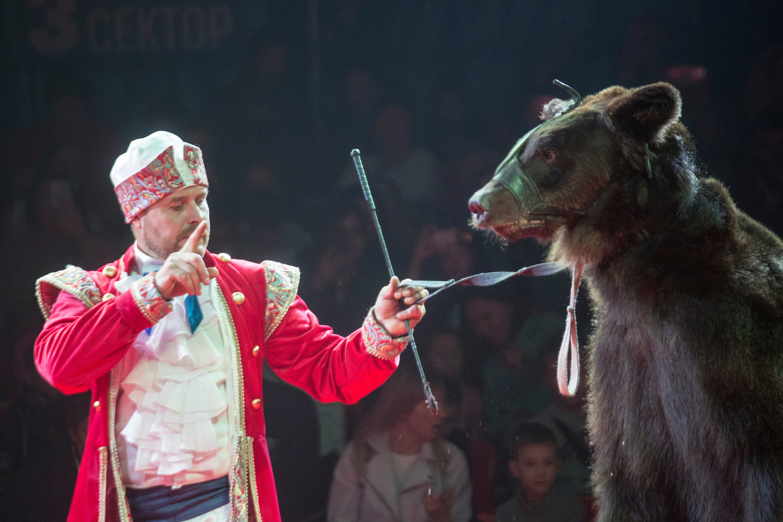 Цирк. Фотограф Анна Барне