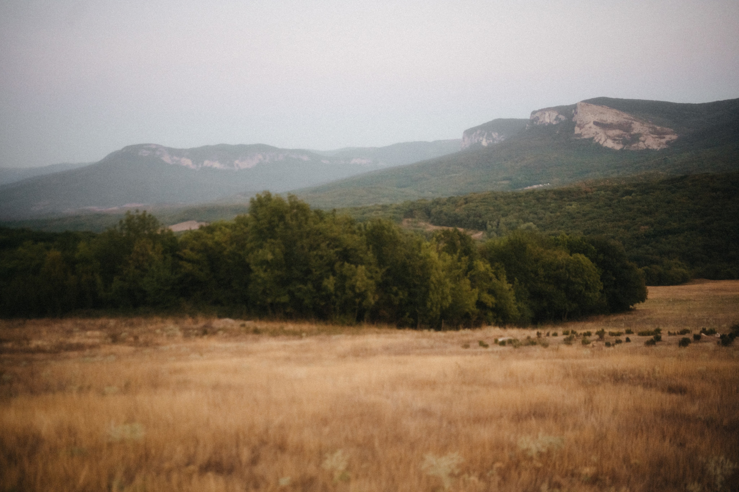 Шепот трав. Свадебный и семейный фотограф и видеограф, Крым, Москва, Санкт -Петербург