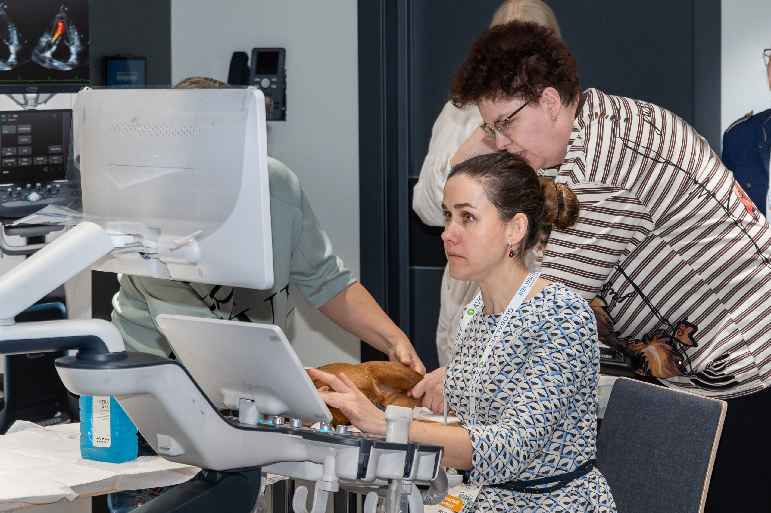 Ветеринарный фестиваль «III Уральский Глобалфест 2026». Фотограф в Екатеринбурге Юрий Кутаев