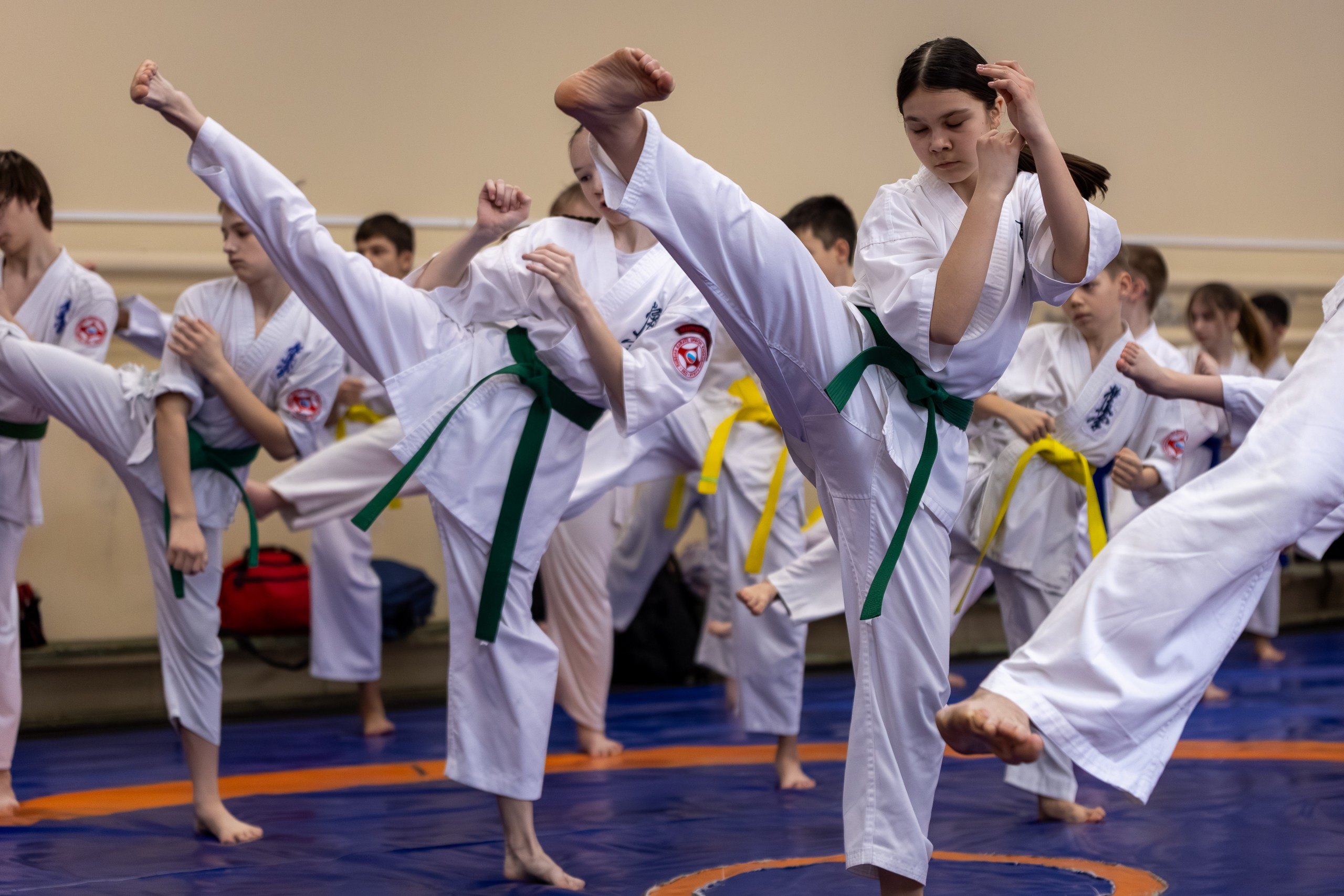 Открытый урок по карате февраль 2026. Главная