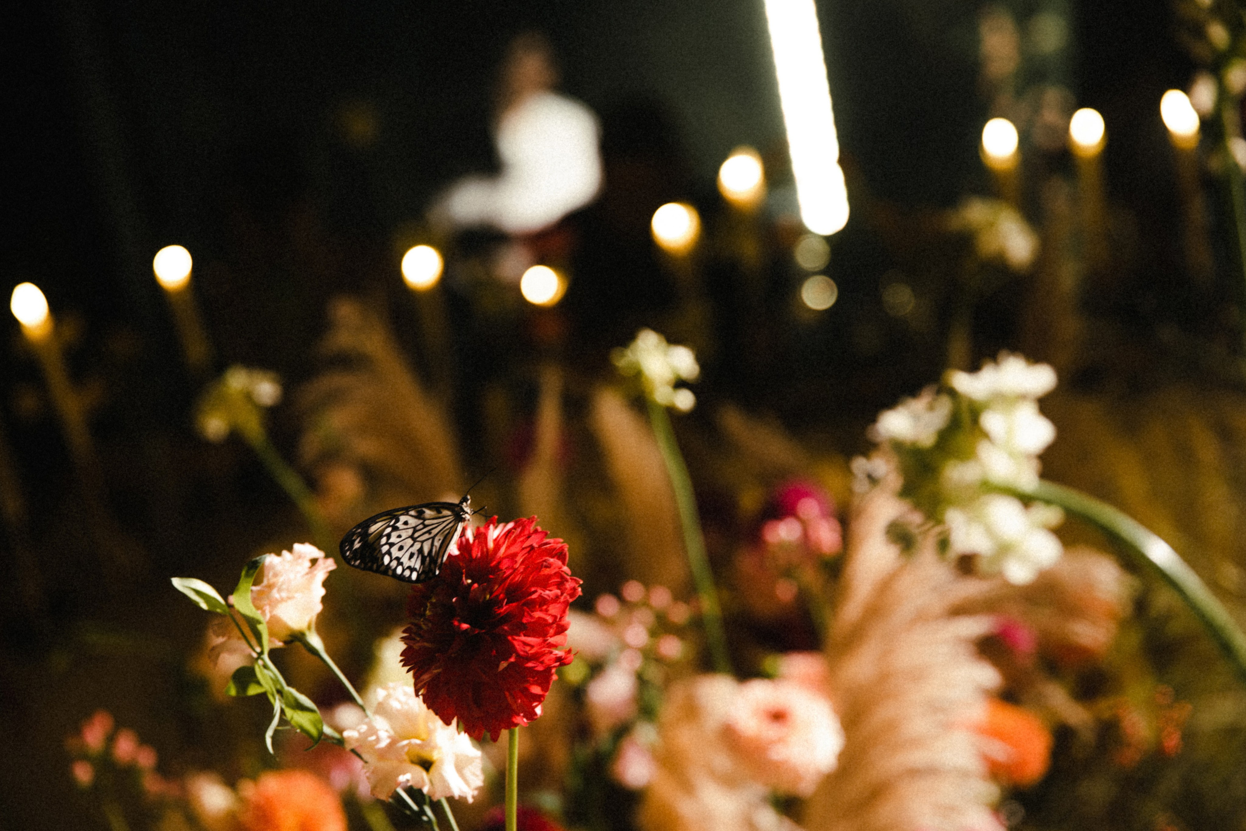 Маша и Рома. Свадебный фотограф в Краснодаре и по всему ЮФО и Миру Ольга Гусева