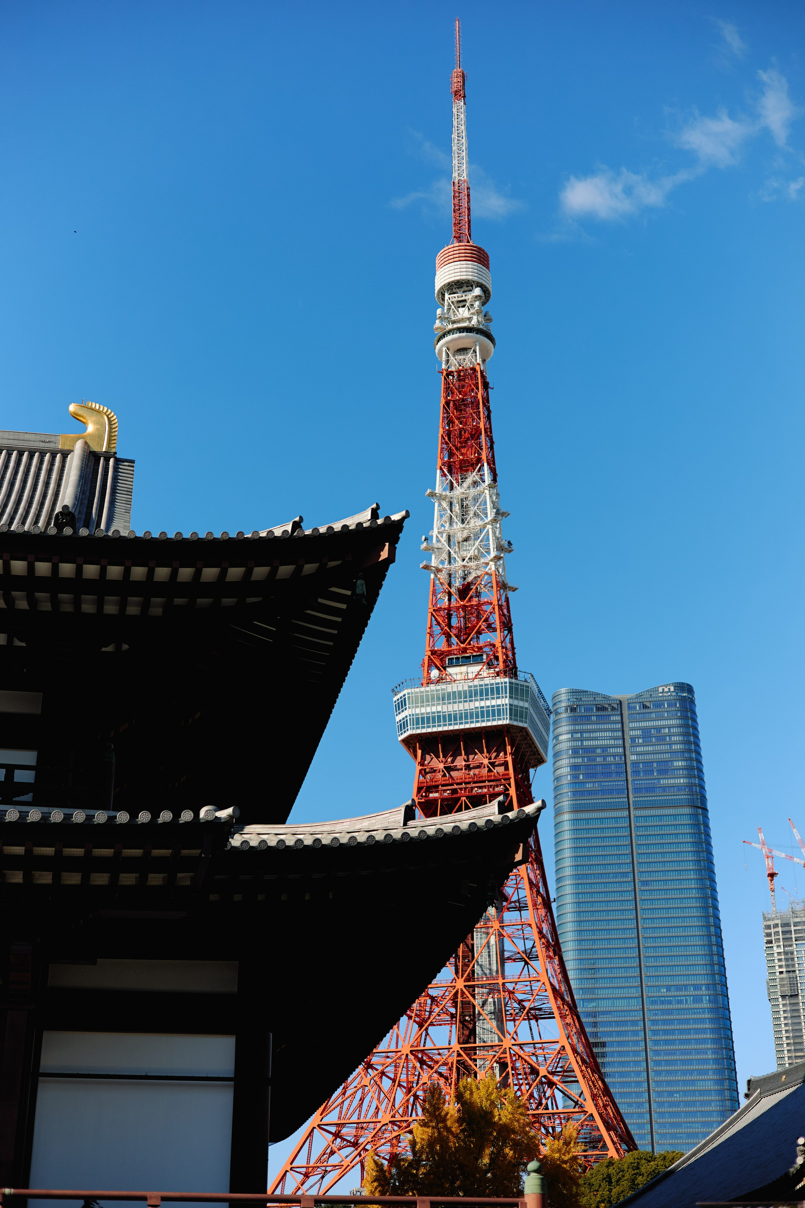 Япония. Профессиональный Фотограф во Владимире, в Москве и в Суздале — Полина Романычева