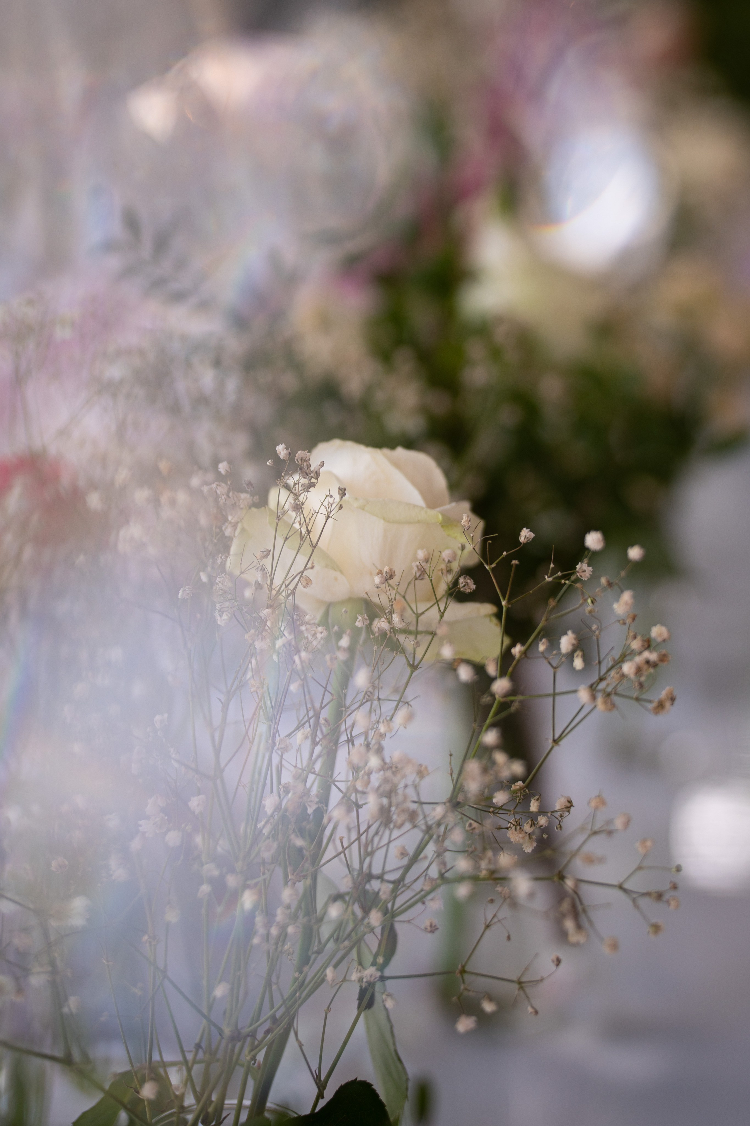 День Рождения за городом. Фотограф в городе Владимир