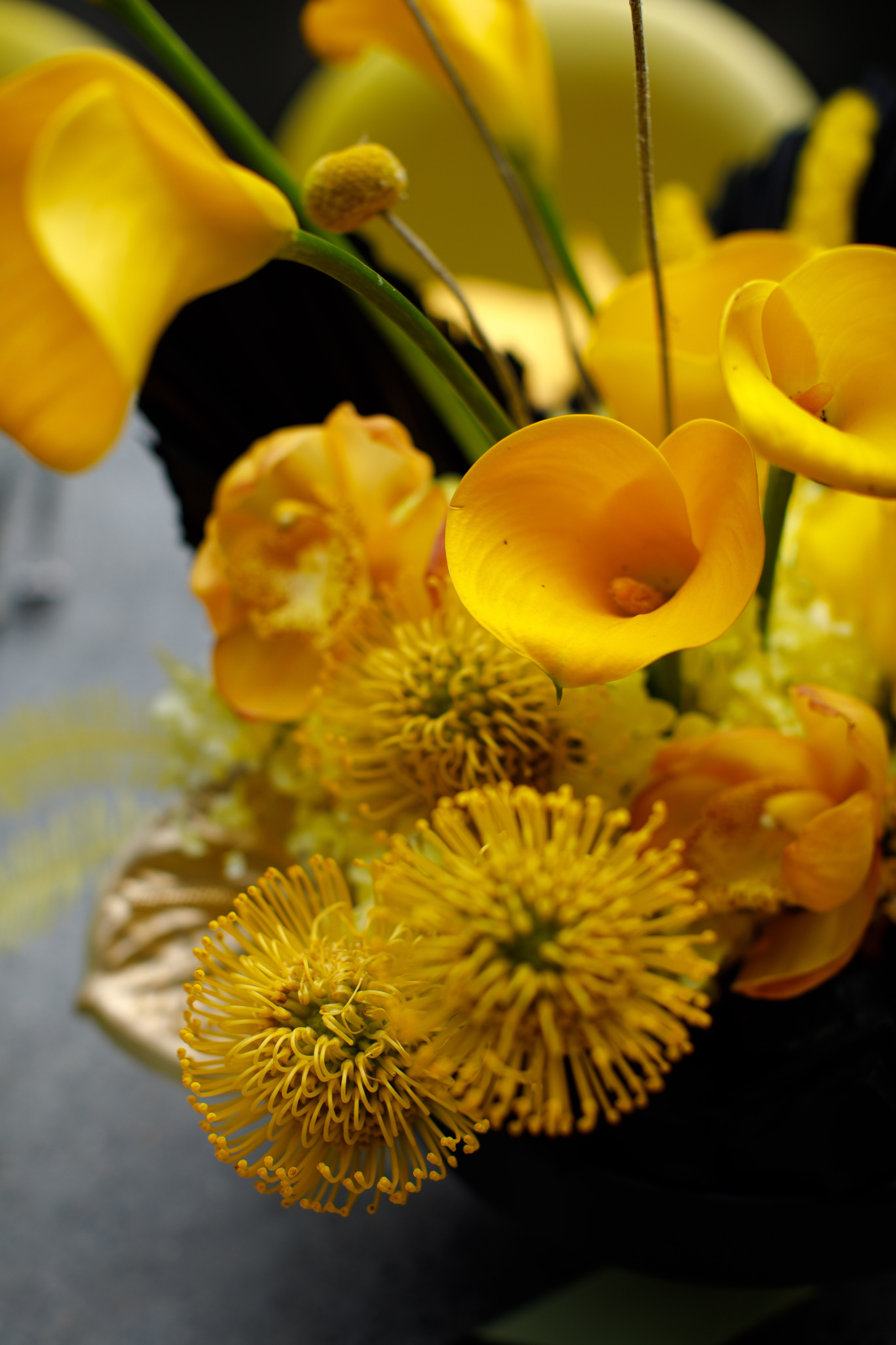 Разрушители | 18.08.2025 | г. Москва. МашаШарики | Декоратор | Москва