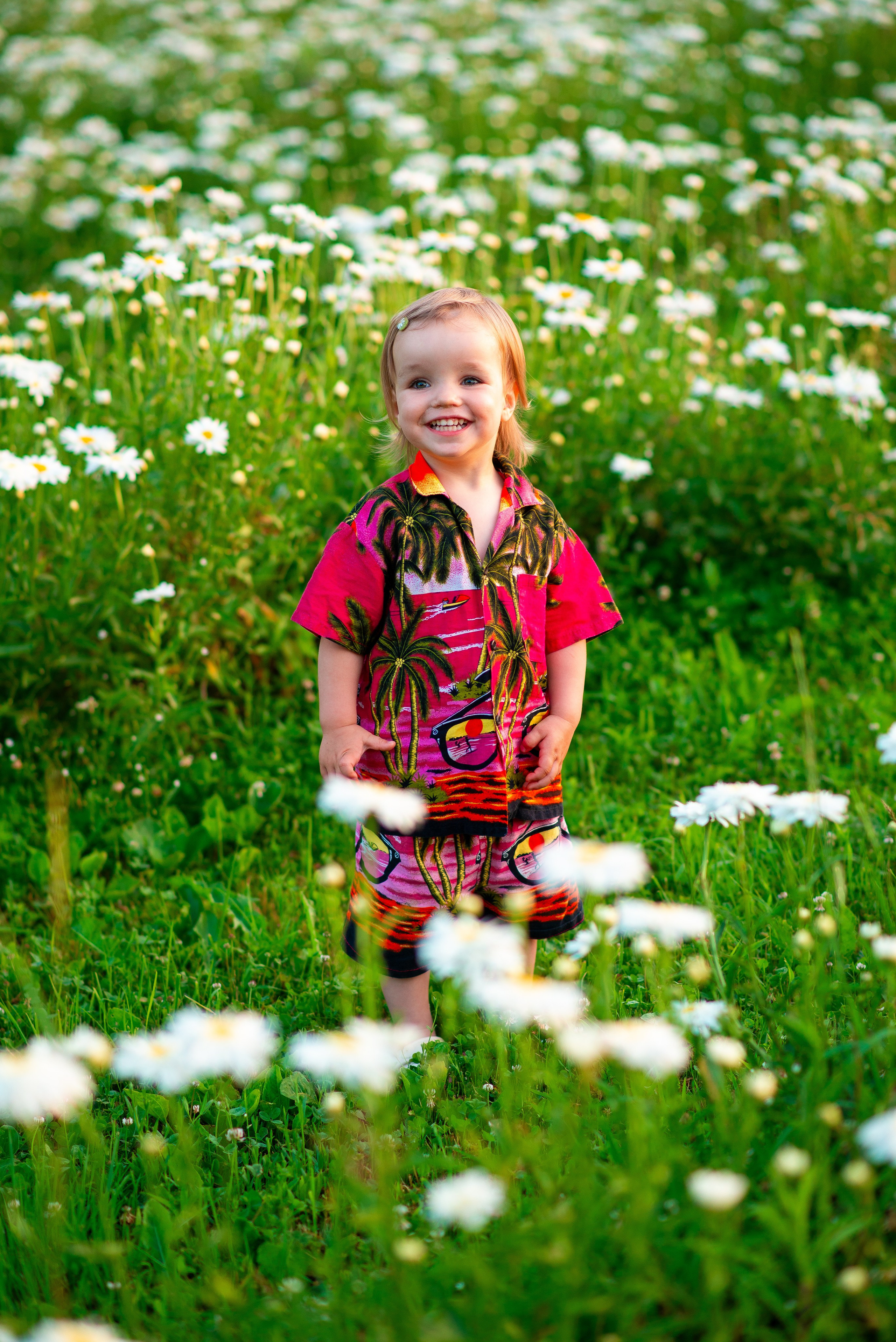 Вероника с семьей в ромашках. Семейный фотограф на выписку из роддома и крещение Минск Настя Гришук