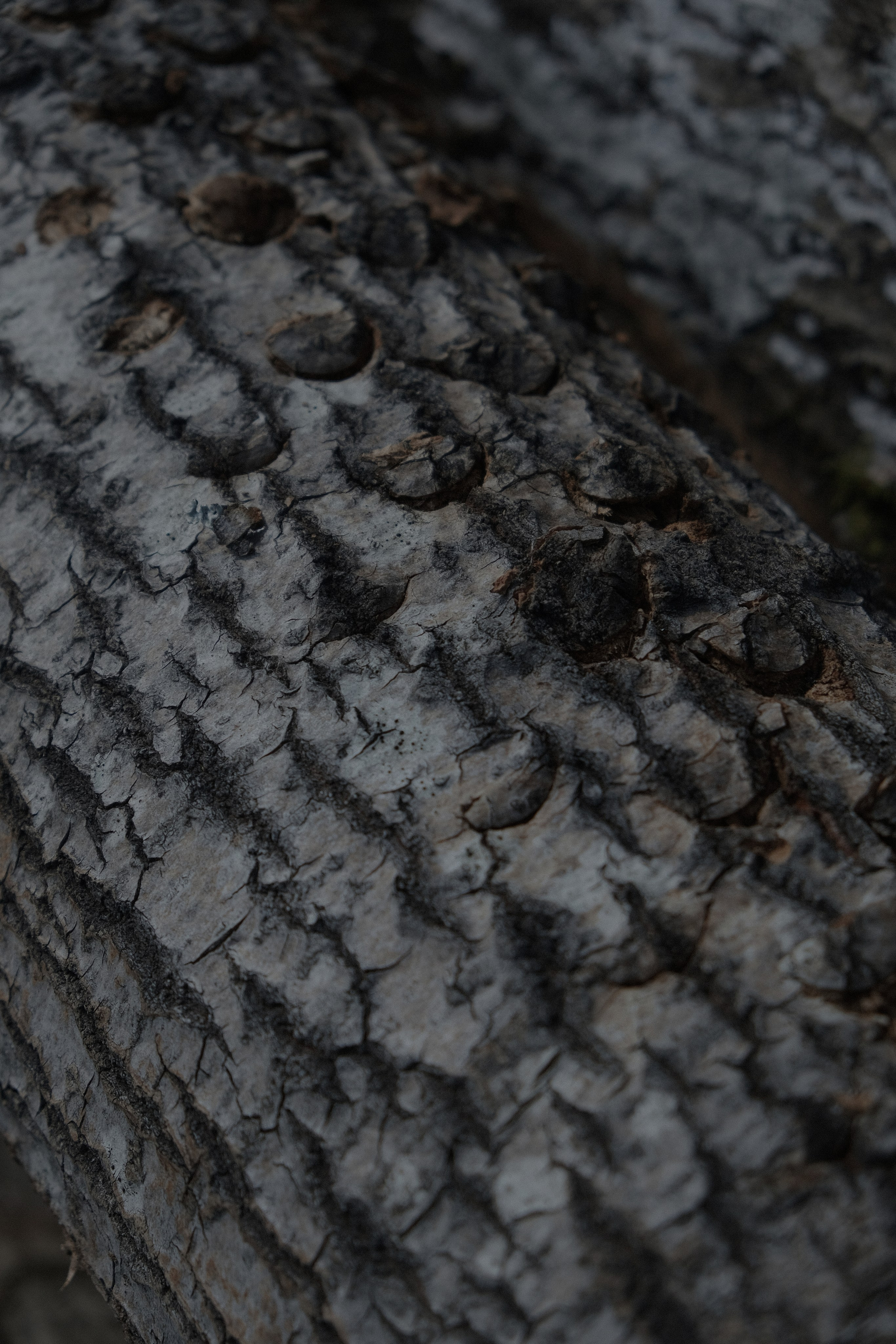 Nikola-Lenivec. Фотограф Настя Лев