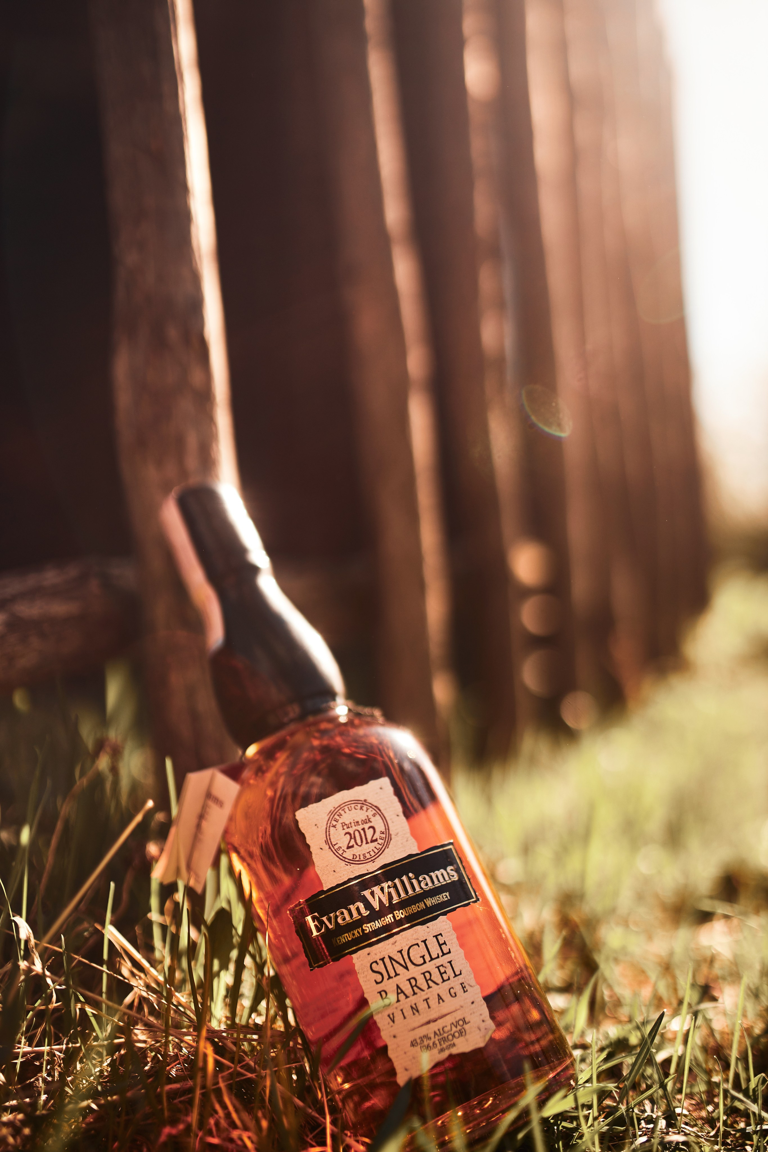 Whisky. Семейный и репортажной фотограф в Красноярске и Москве Виктор Бабинцев