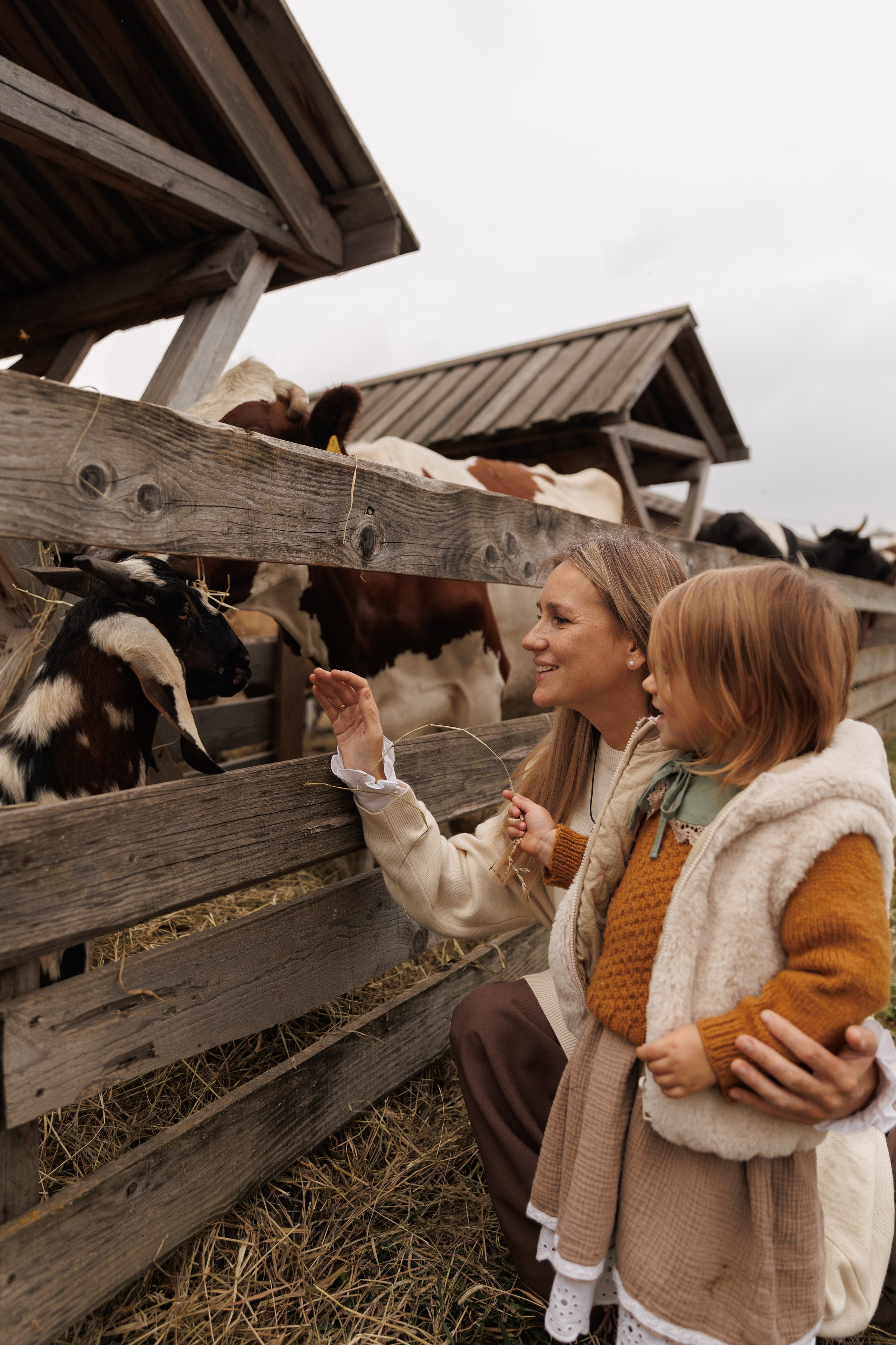 Осенняя прогулка (село Остров). Фотограф в Красногорске и Москве