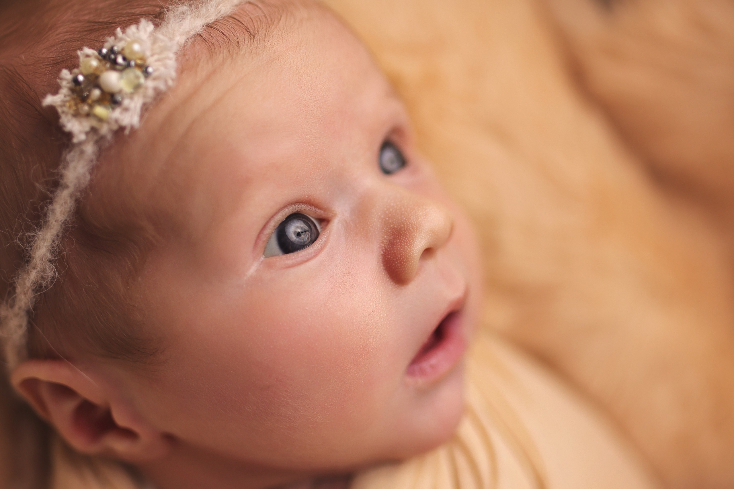 Илона. Фотограф новорожденных и беременности в Ижевске Светлана Рожкова