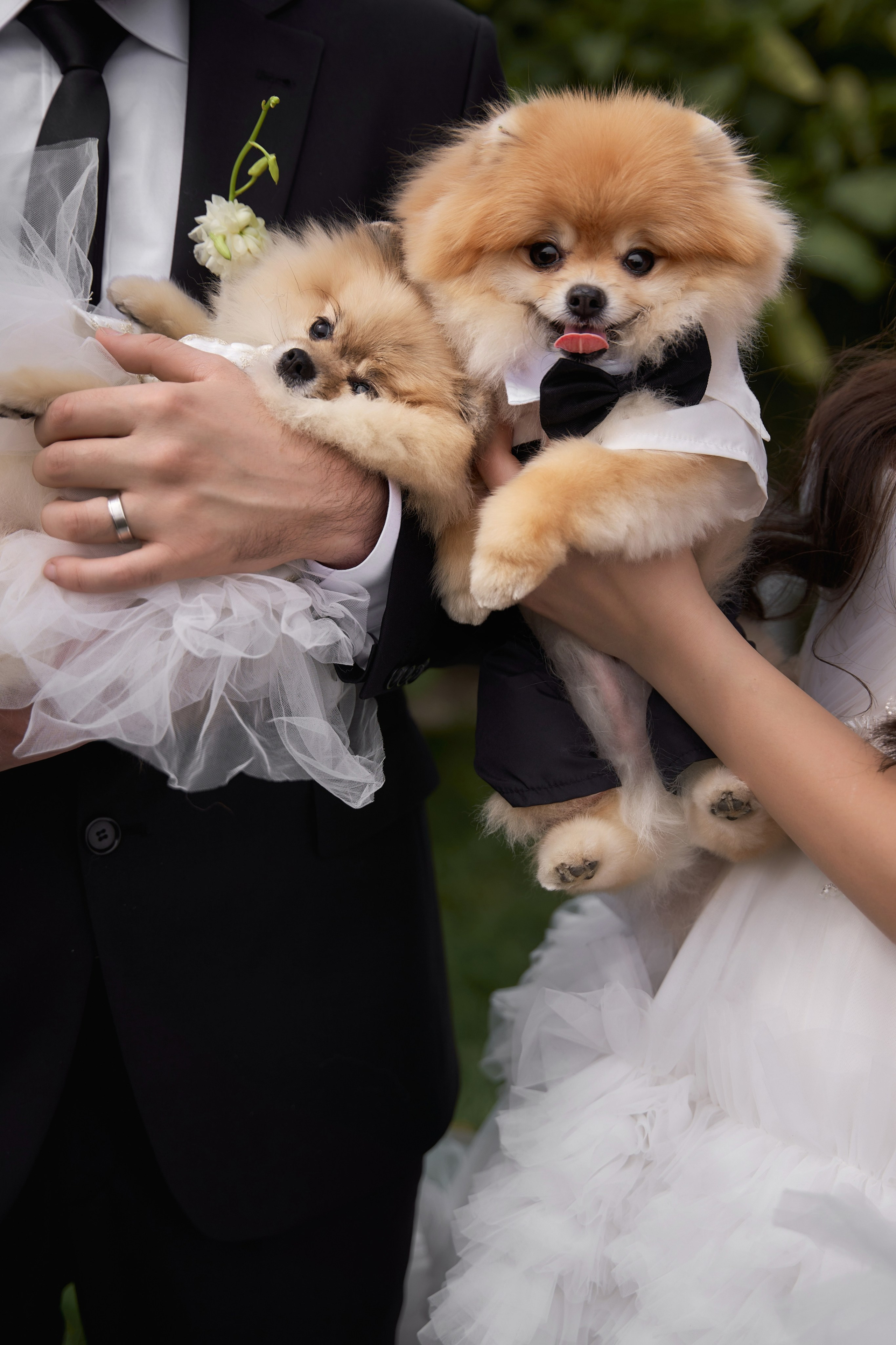 Наставничество TWINS STUDIO. ТВИНС СТУДИО — лучшие свадебные фотографы и видеографы в Краснодаре