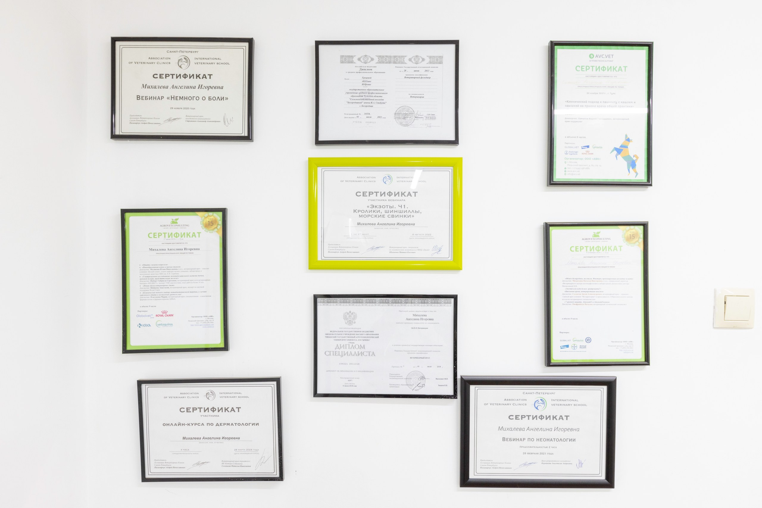 БАРОН. Ветеринарная клиника. Фотограф в Туле Крупский АнДРей. Фотостудия «КАДР71» в Туле