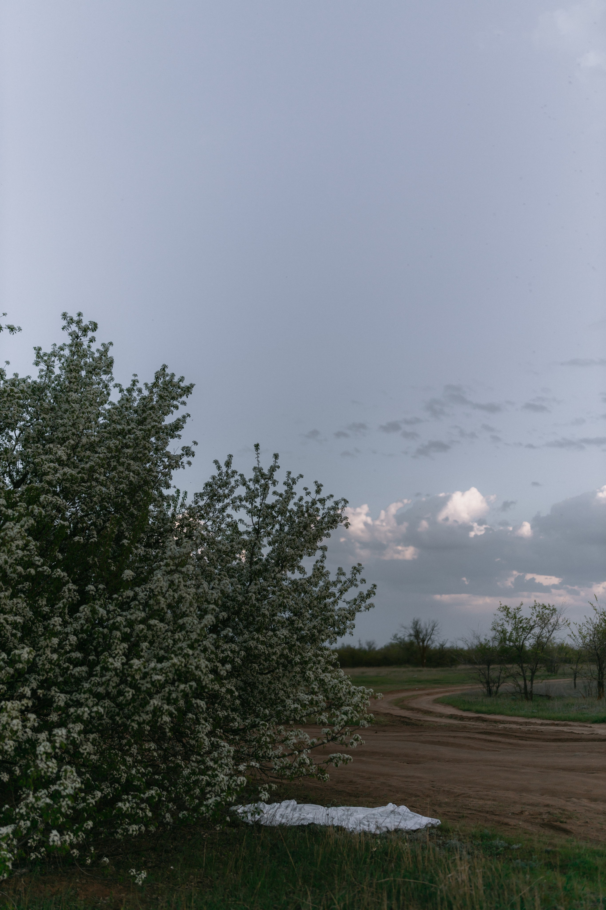 Каролина и Артем. Ланемец Юлия — фотограф Волгоград/Волжский