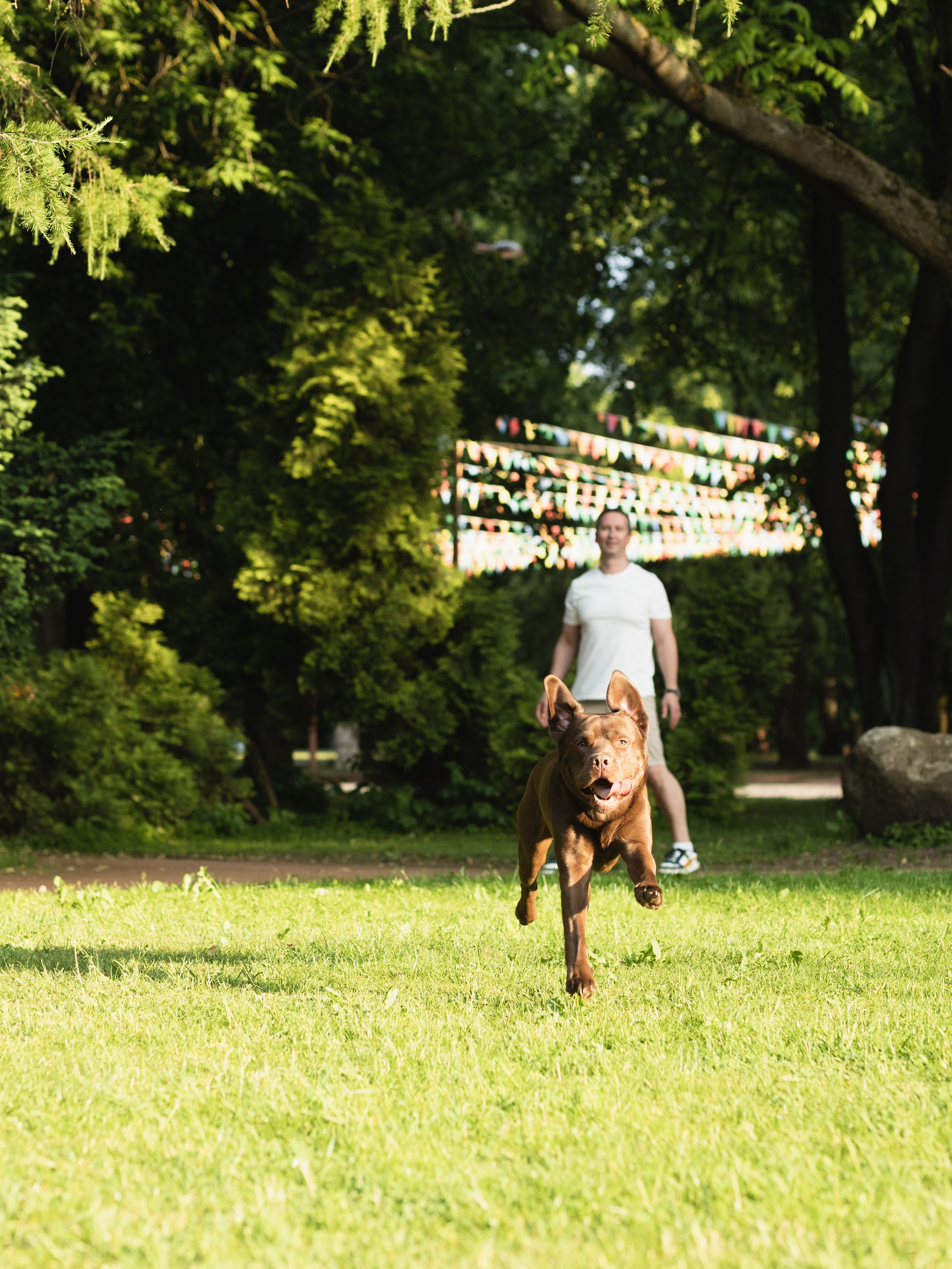 С домашними любимцами. Портретный фотограф в Калининграде Алеся Раух