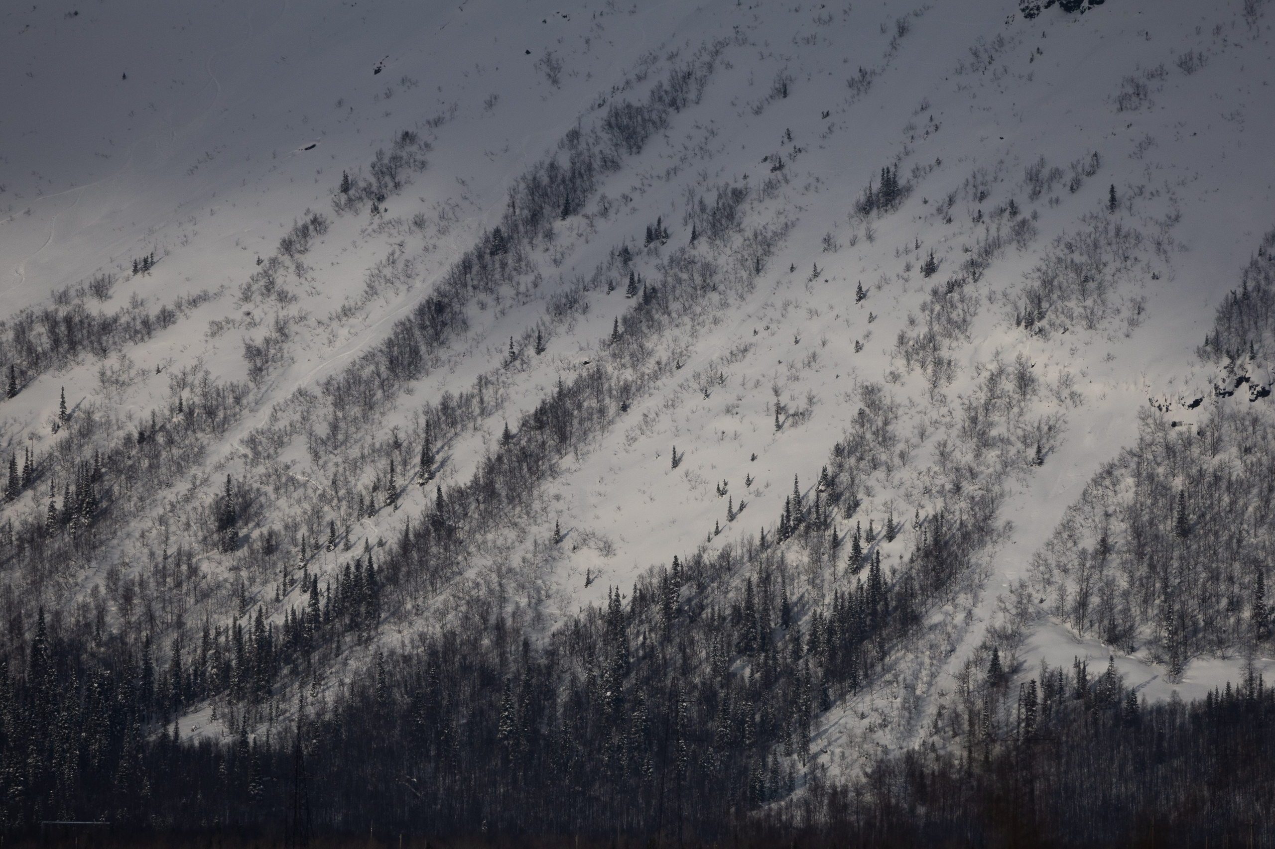 Кировск. Рыбаки. Алиса Северная. Визуальные исследования. Пейзажная и документальная фотография