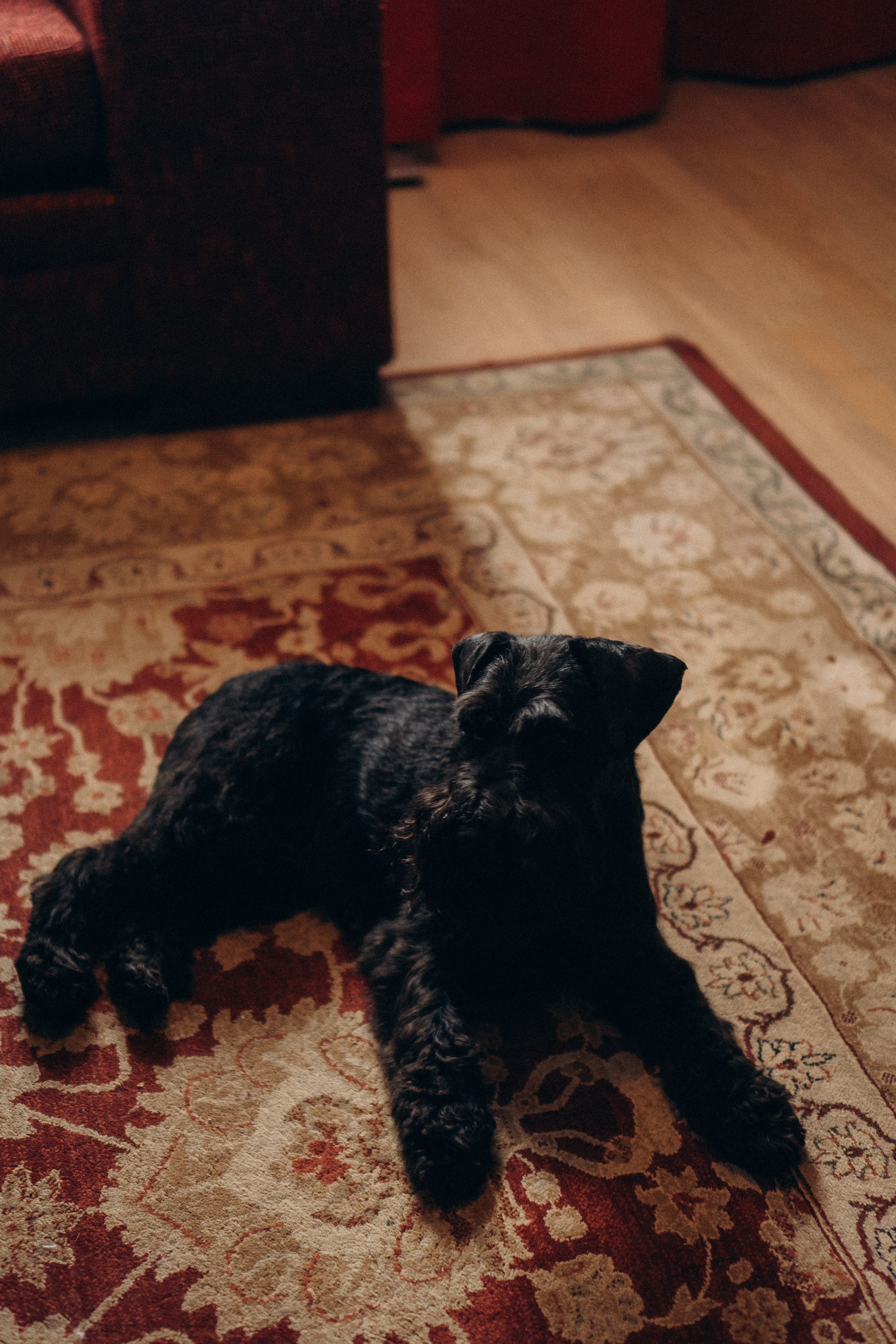 ДЕНЬ РОЖДЕНИЯ. Профессиональный фотограф, Санкт-Петербург — Виктория Богомолова