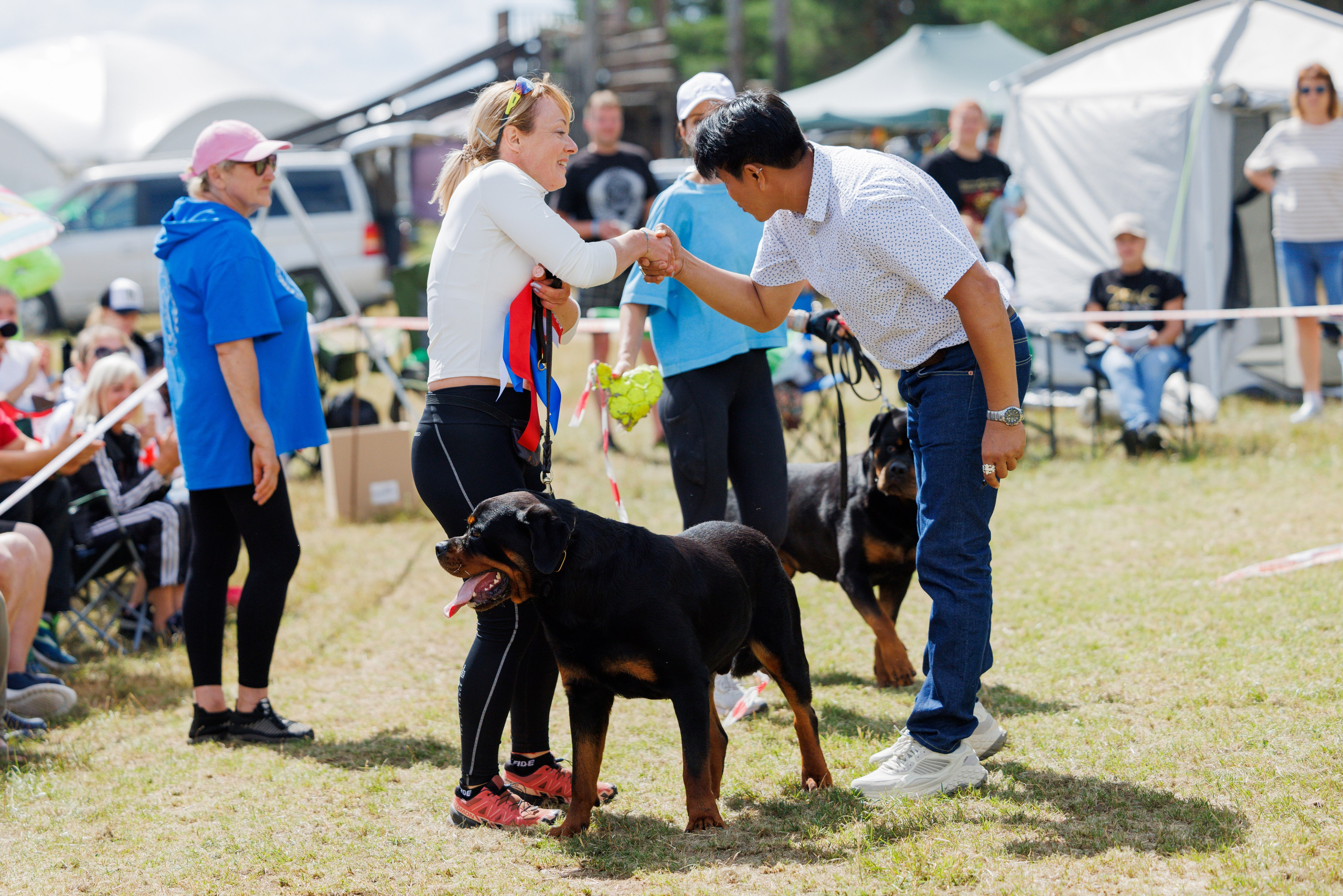 ПК и КЧК ротвейлеры Тверь 6-7.07.2024. Фотограф-анималист Юлия Германика
