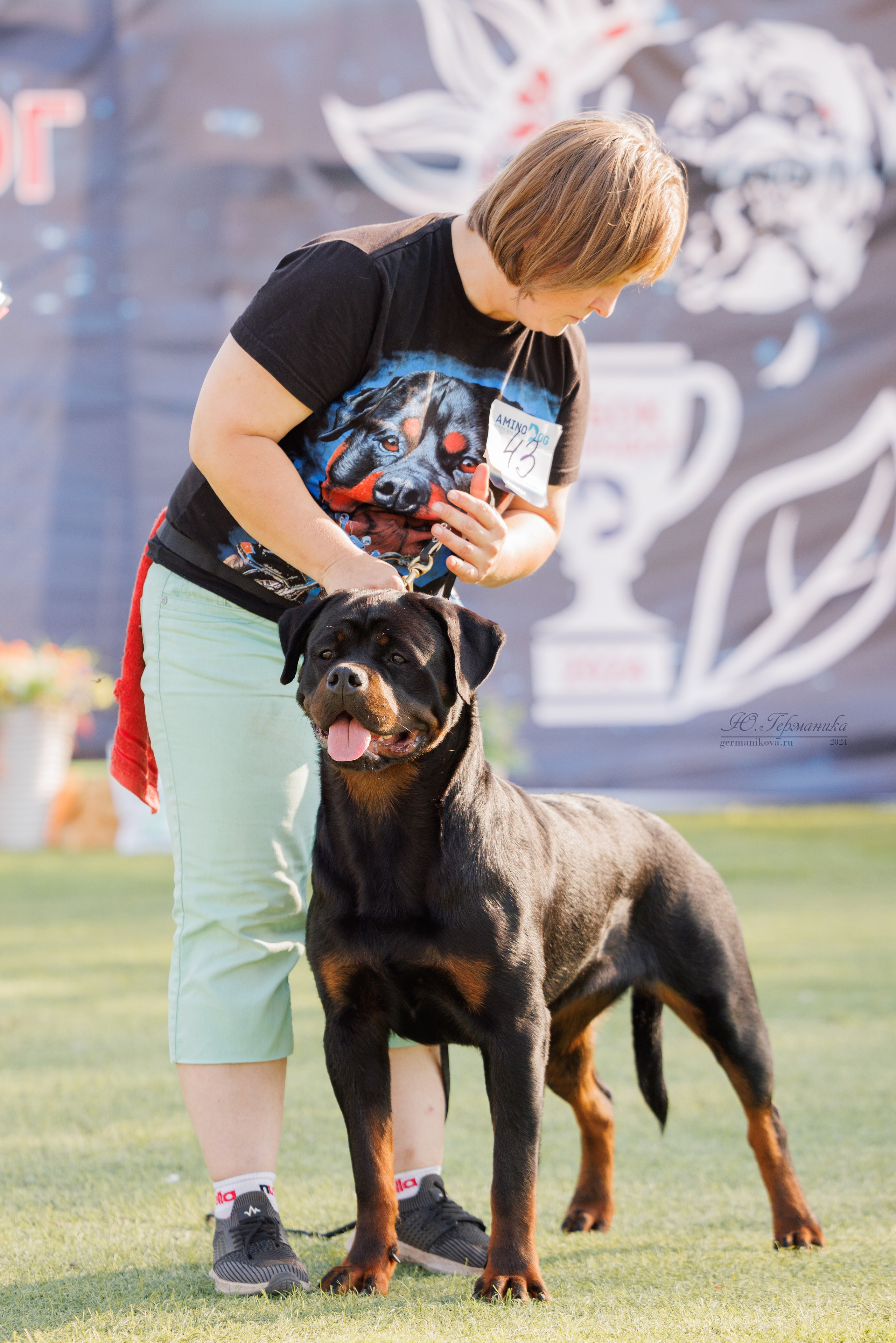 Анапа ротвейлеры 14-15.09.2024. Фотограф-анималист Юлия Германика