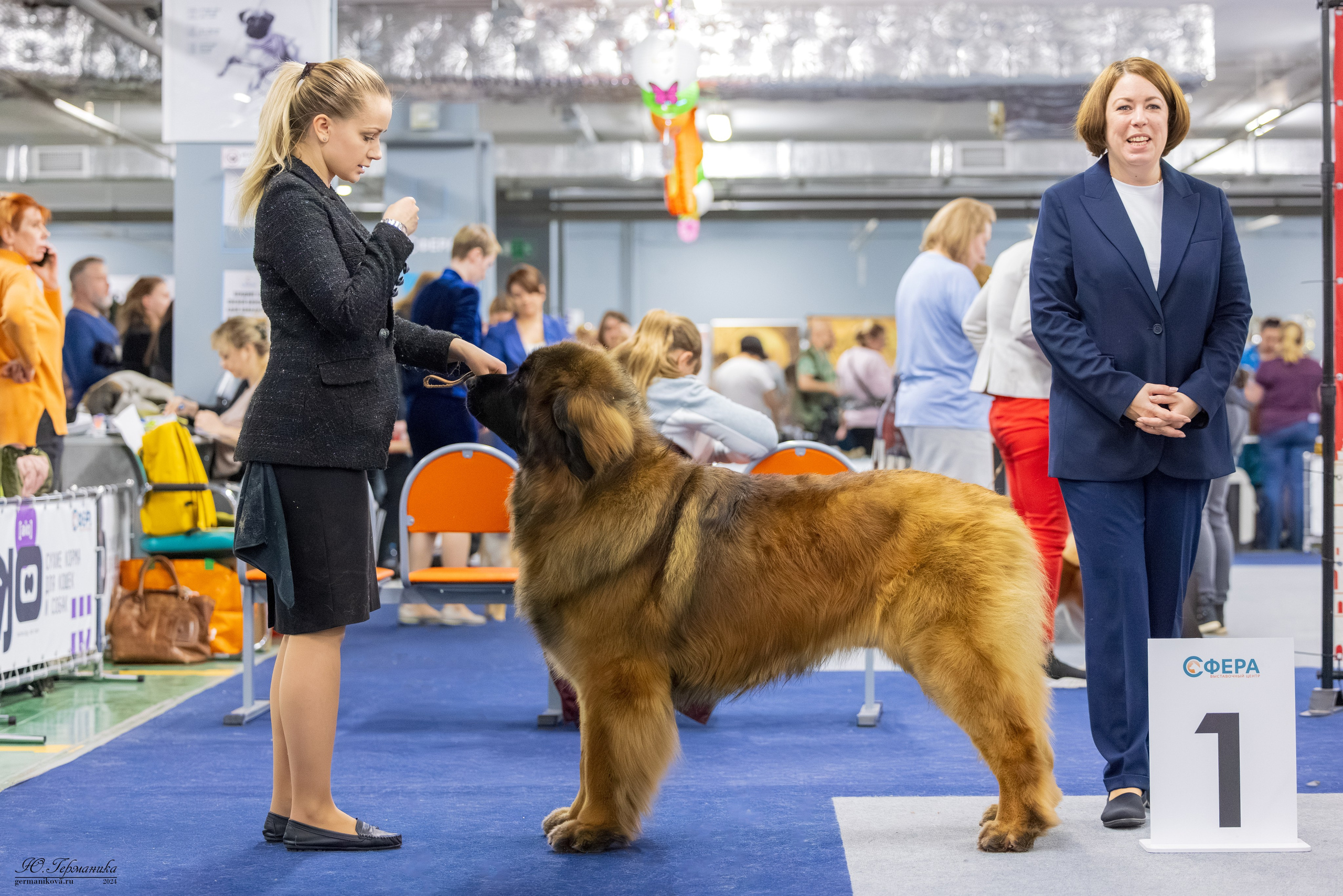 Сфера 17.03.2024. Фотограф-анималист Юлия Германика