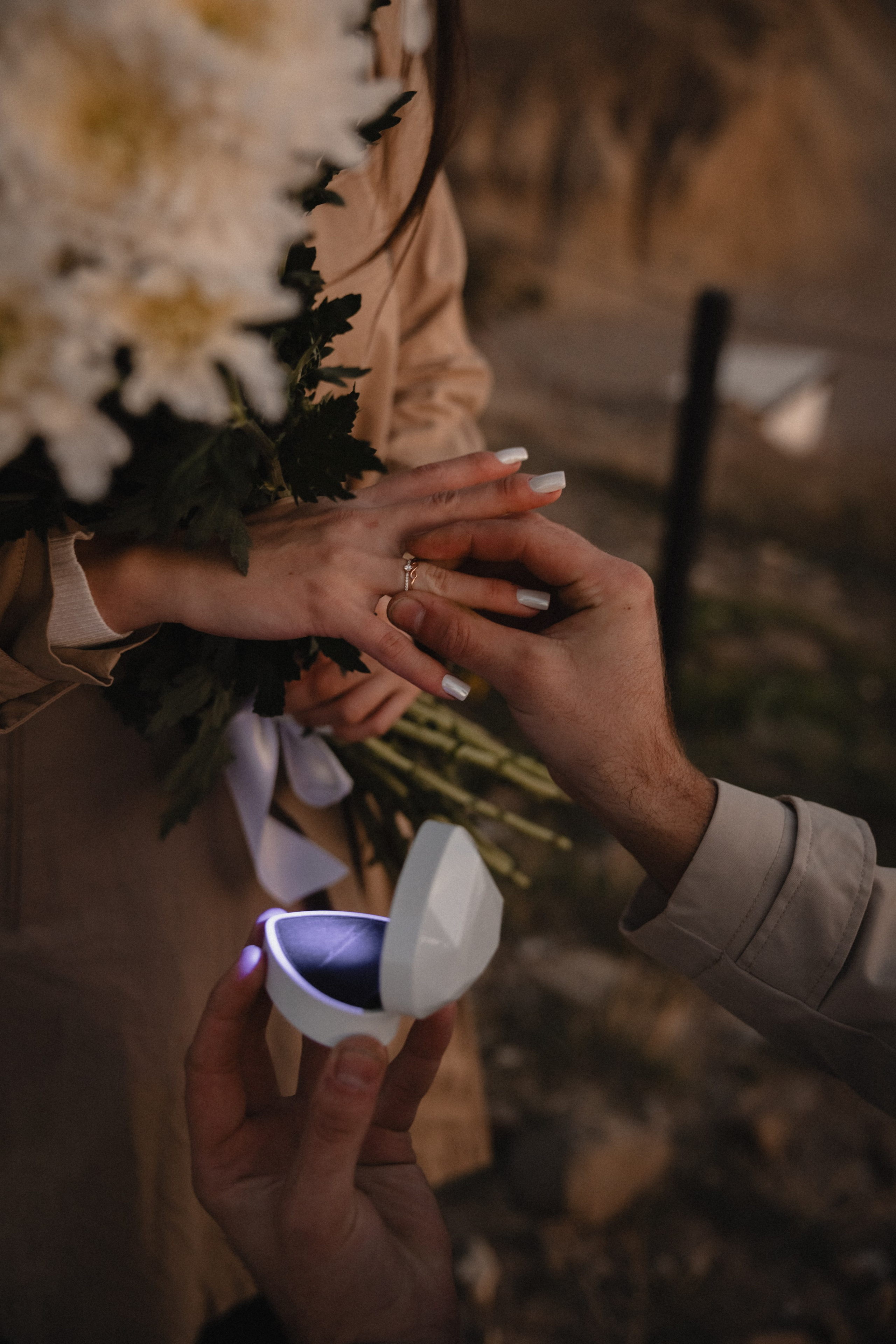 Предложение. Свадебный и семейный фотограф и видеограф, Крым, Москва, Санкт -Петербург