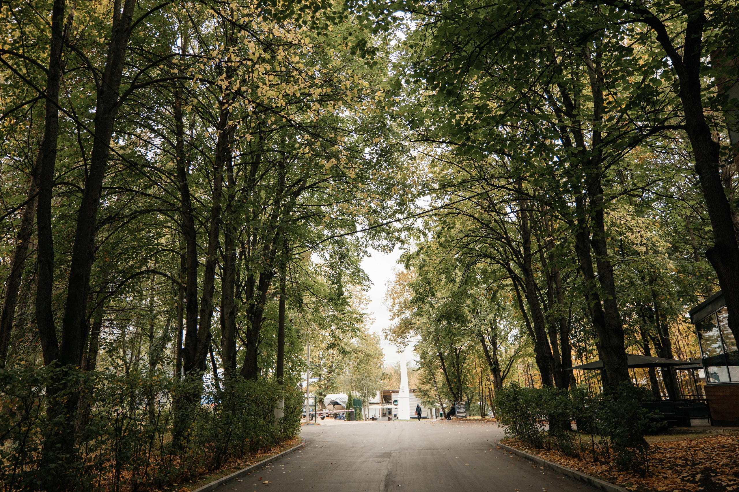 DENIS & MARIA. Свадебное ФОТО & ВИДЕО Москва/Липецк