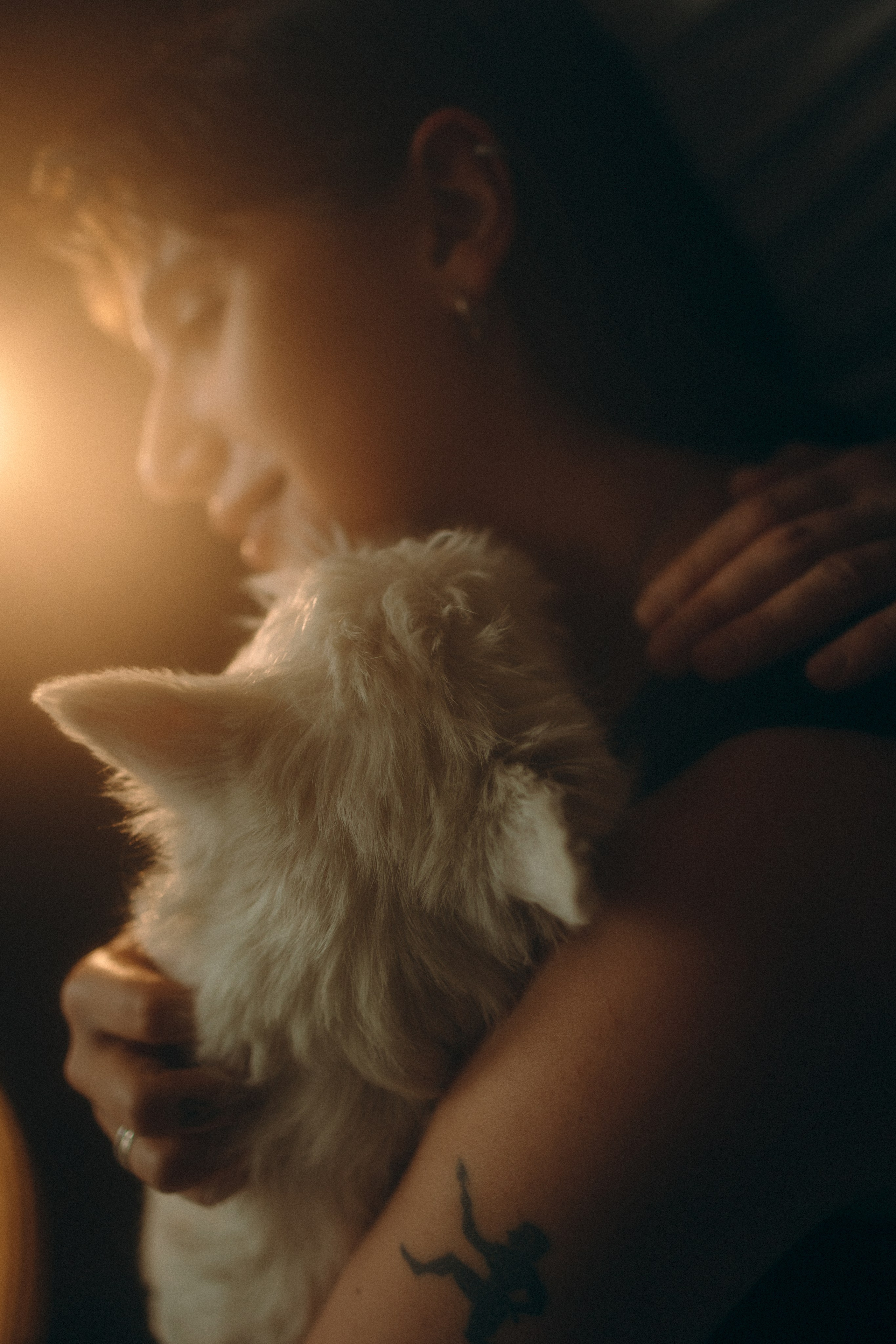 Снежуля, Мари и Саша. Фотограф анималист Анастасия Пикей