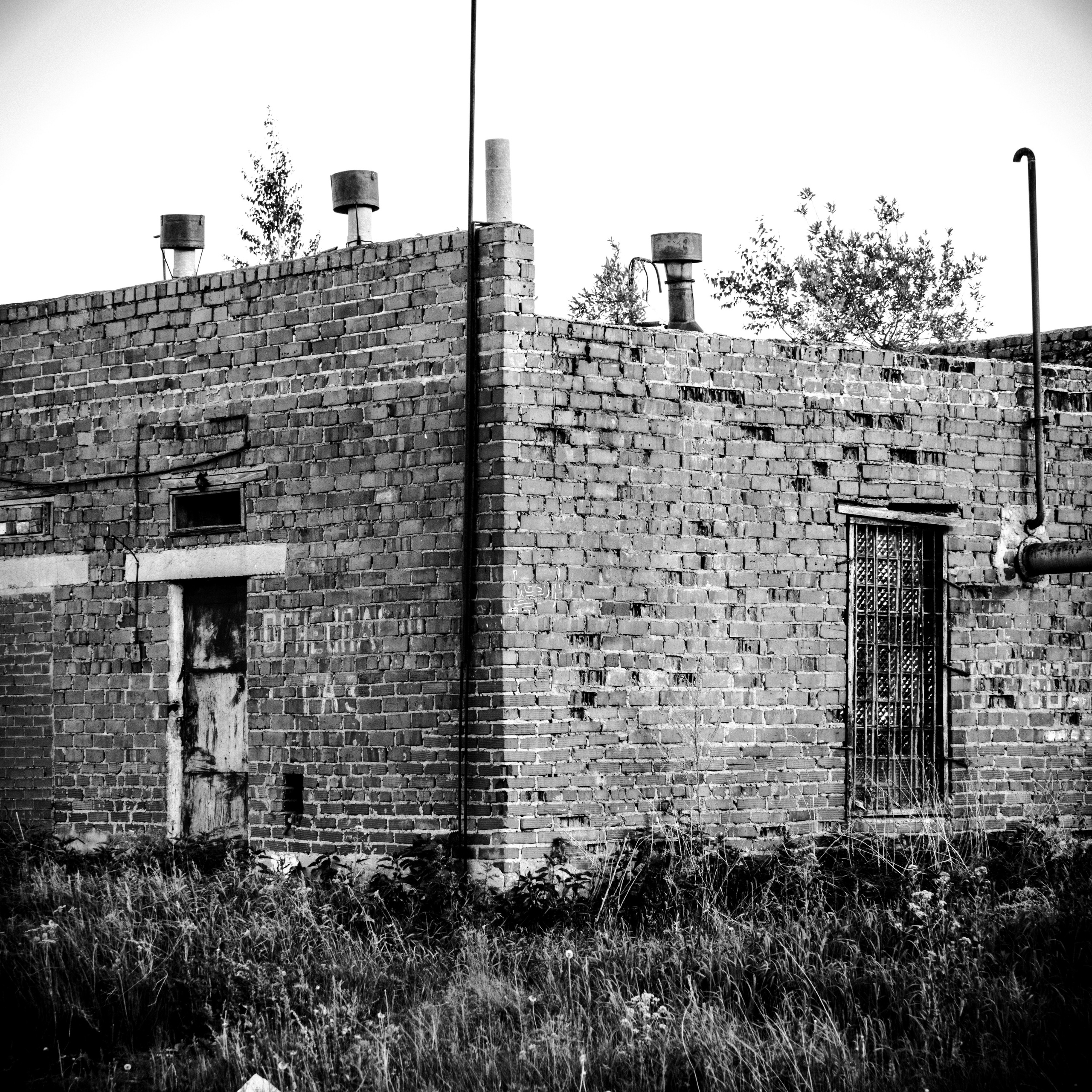 Natural Noir. Whoii art