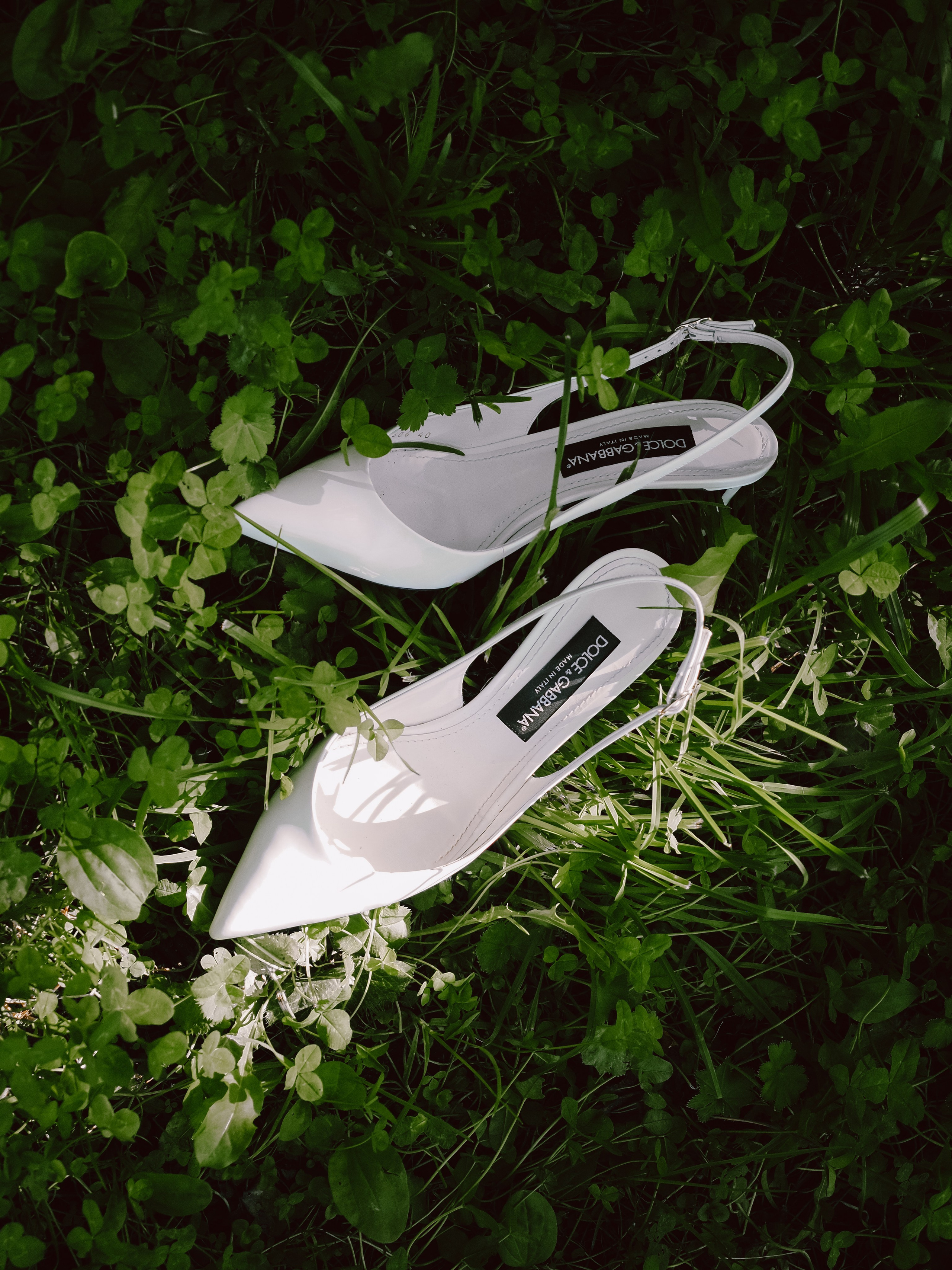 ❣️. Фотограф Рязань. Семейный Свадебный фотограф