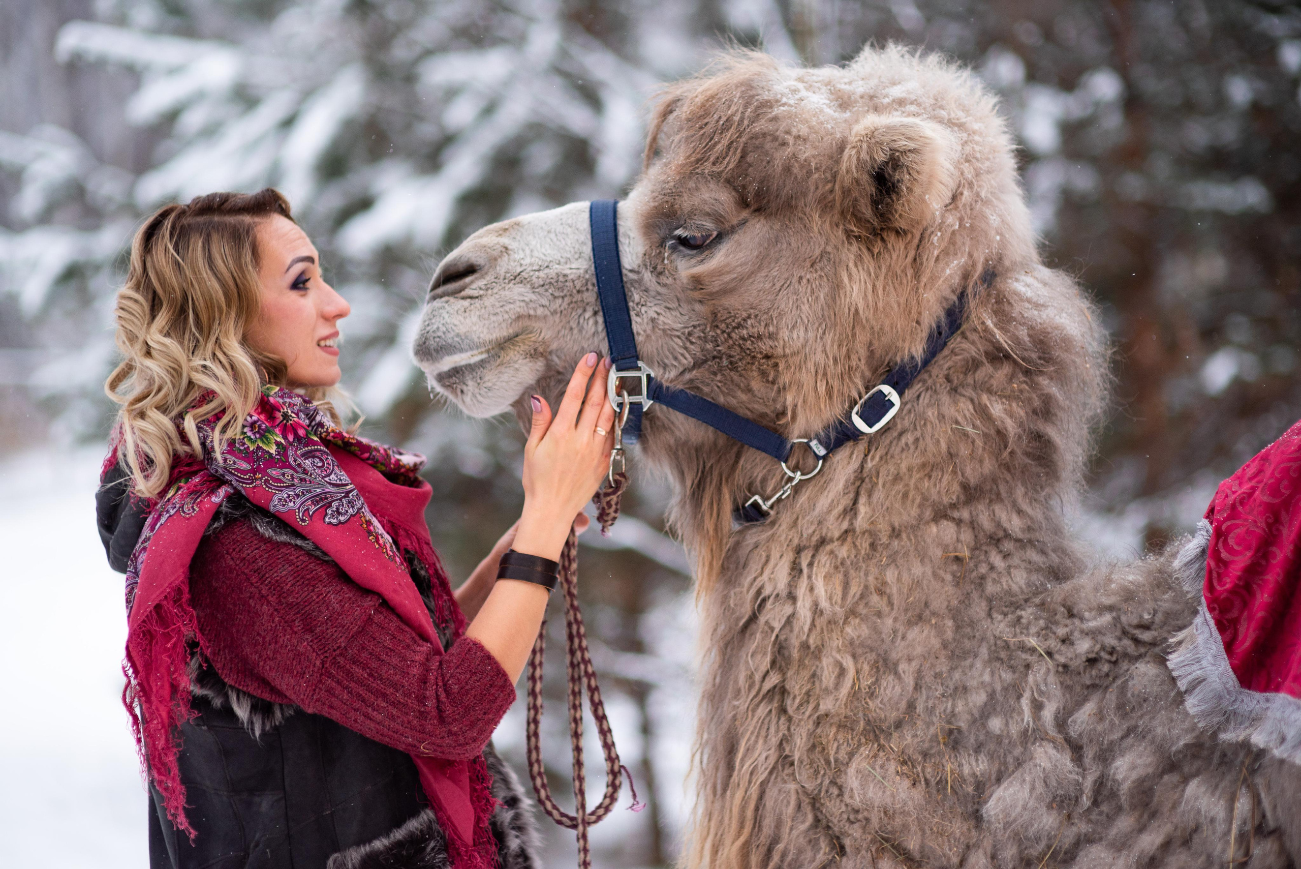Алена. Детский и семейный фотограф в Москве Светлана Захарова