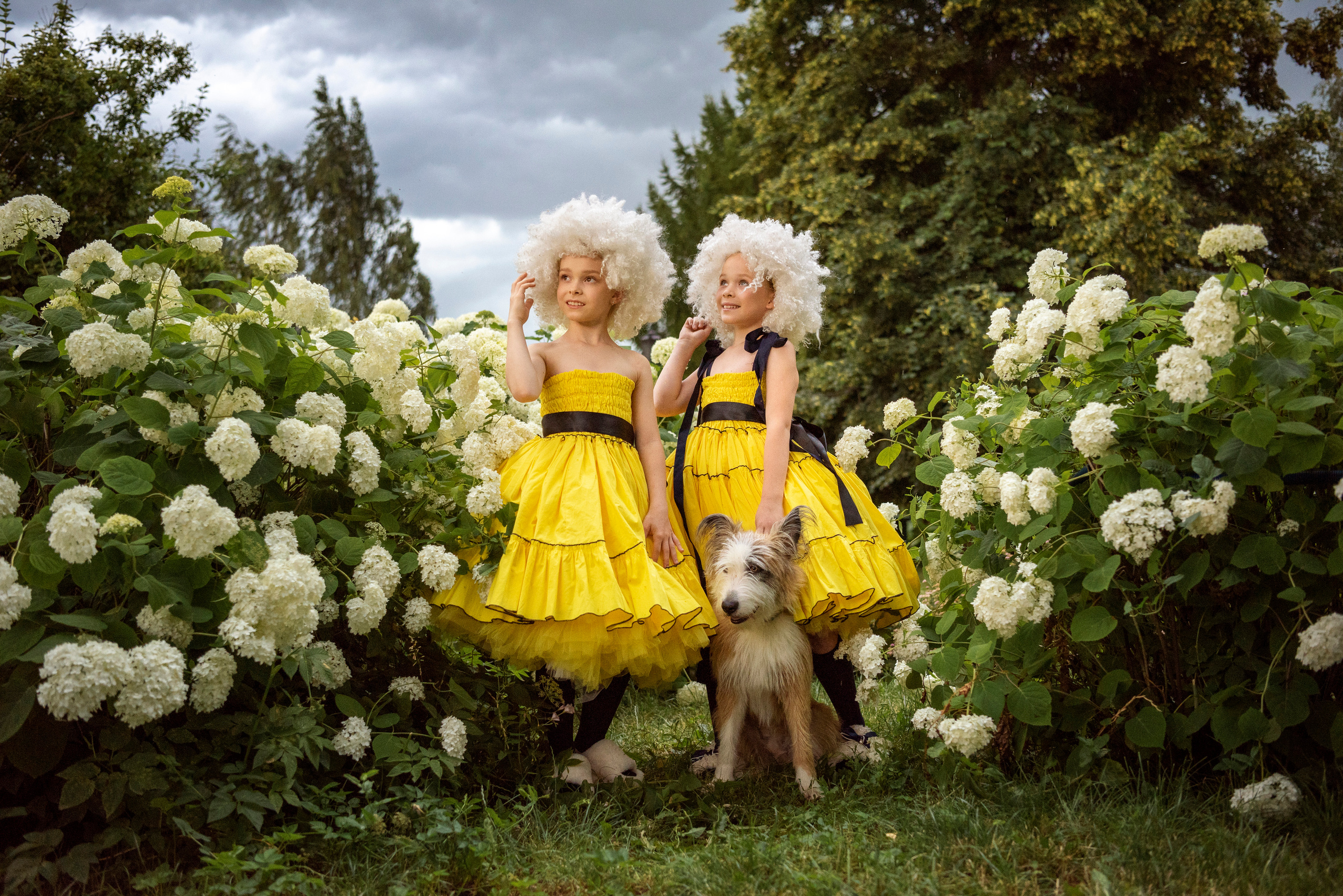 Сказка в Коломенском. Детский и семейный фотограф в Москве Светлана Захарова