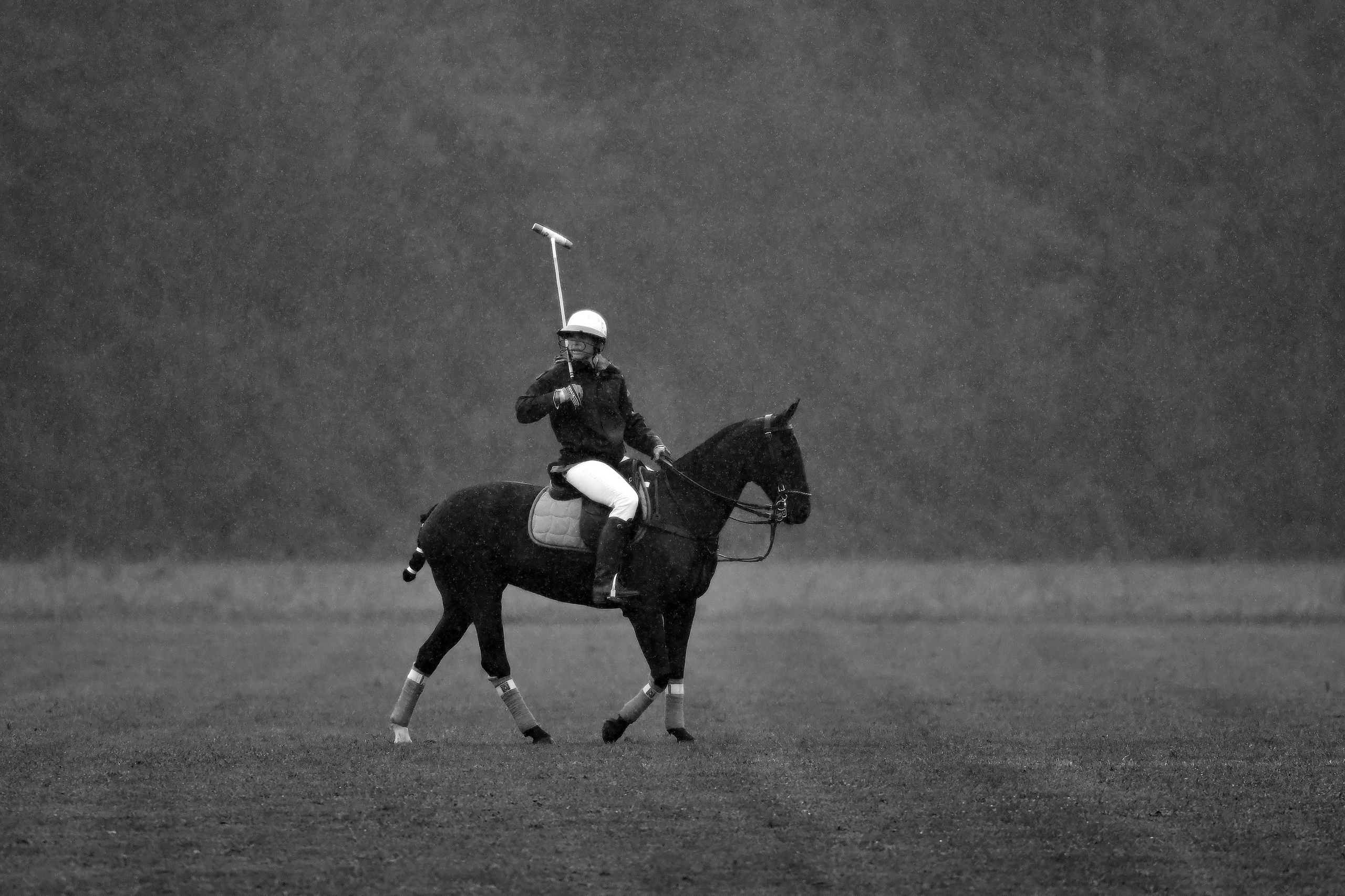 Polo art photos. Art photos of horses — ARTUR BABOEV | Photographer