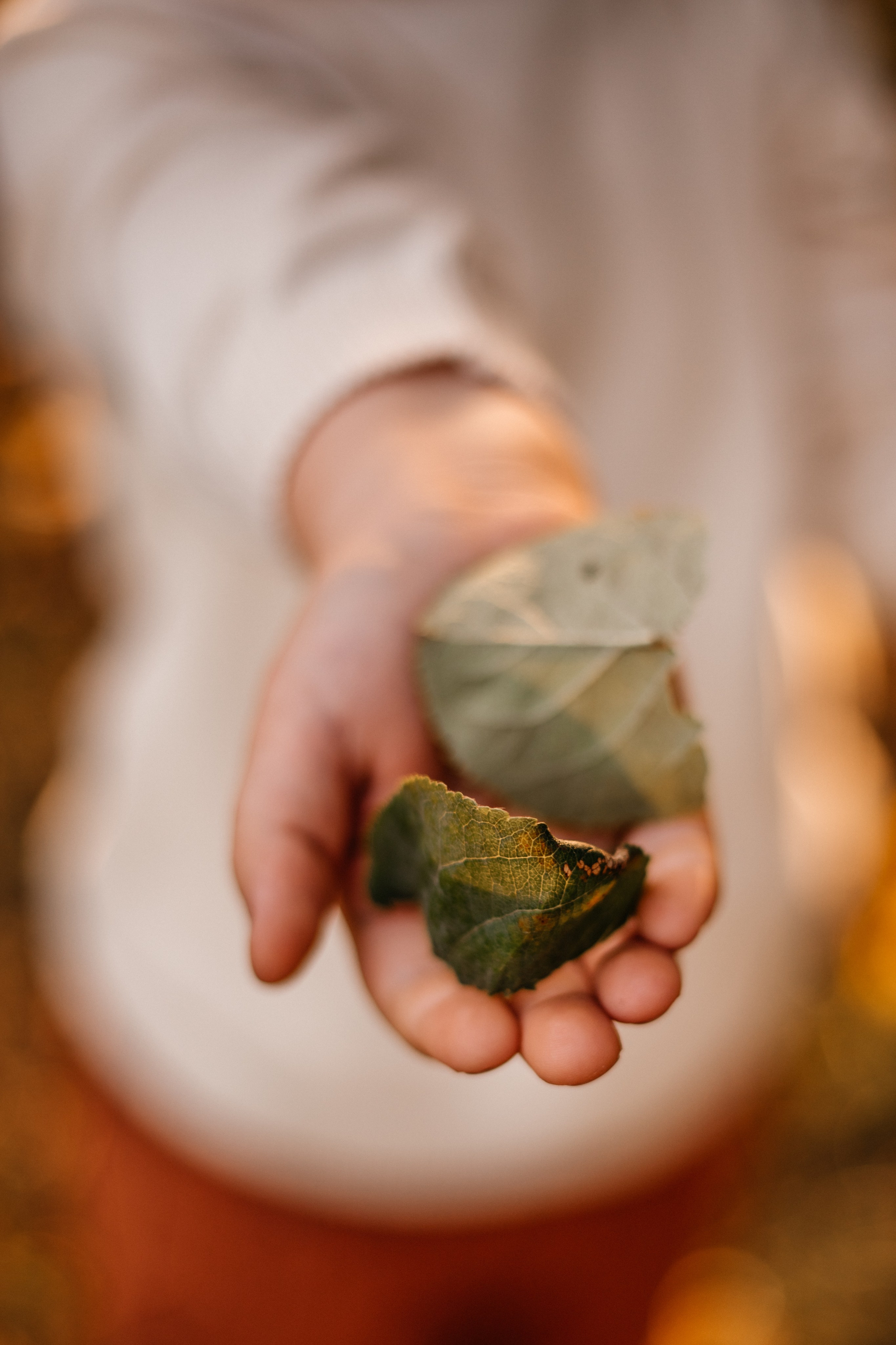 Марина, Евгений, Марк — семейная фотосессия. Семейный и свадебный фотограф Минск, Барановичи Ольга Пахомова