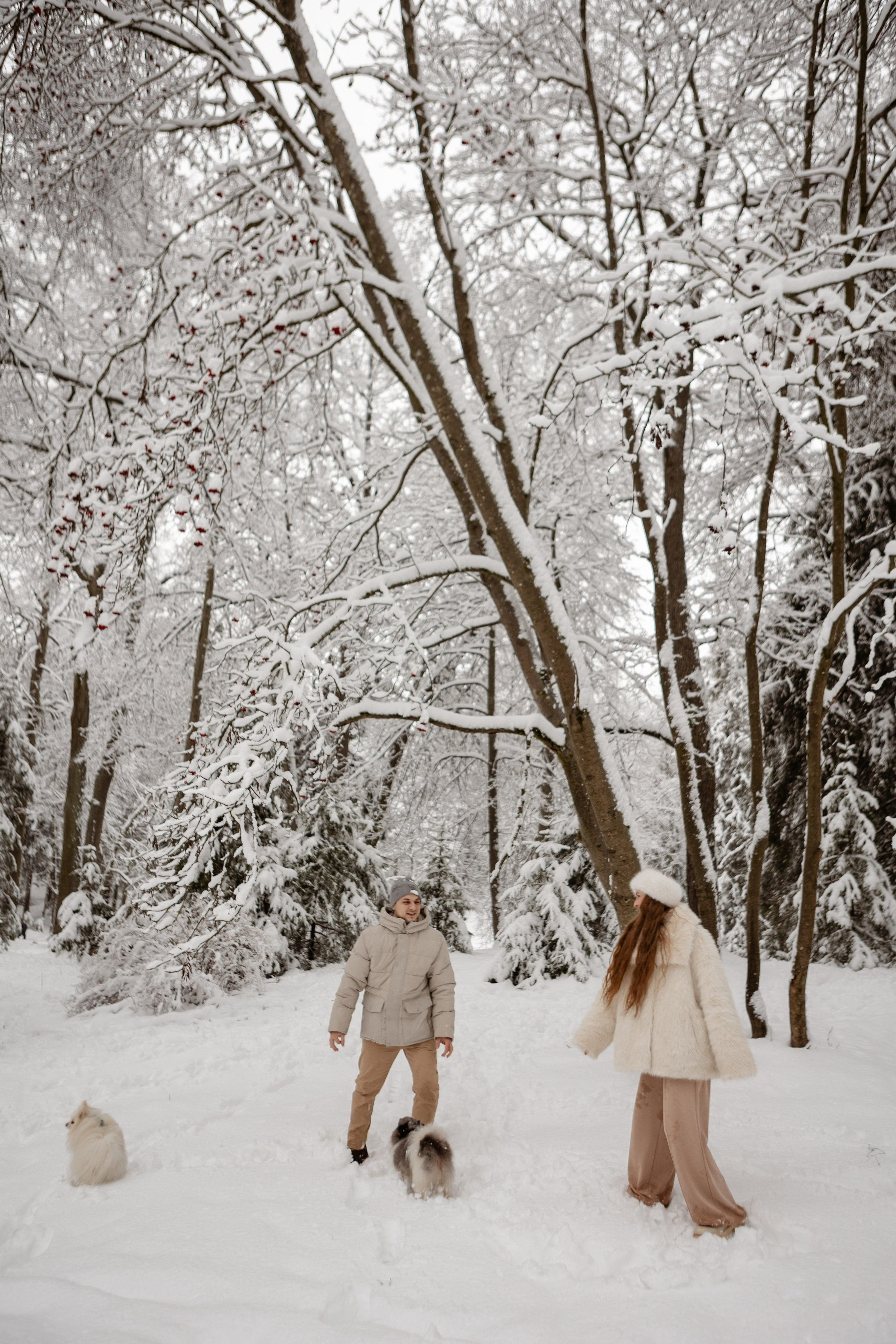 Новогодняя фотосессия с собачками в шуваловском парке. Свадебный фотограф в СПБ | Санкт-Петербурге Анастасия Рахимгулова