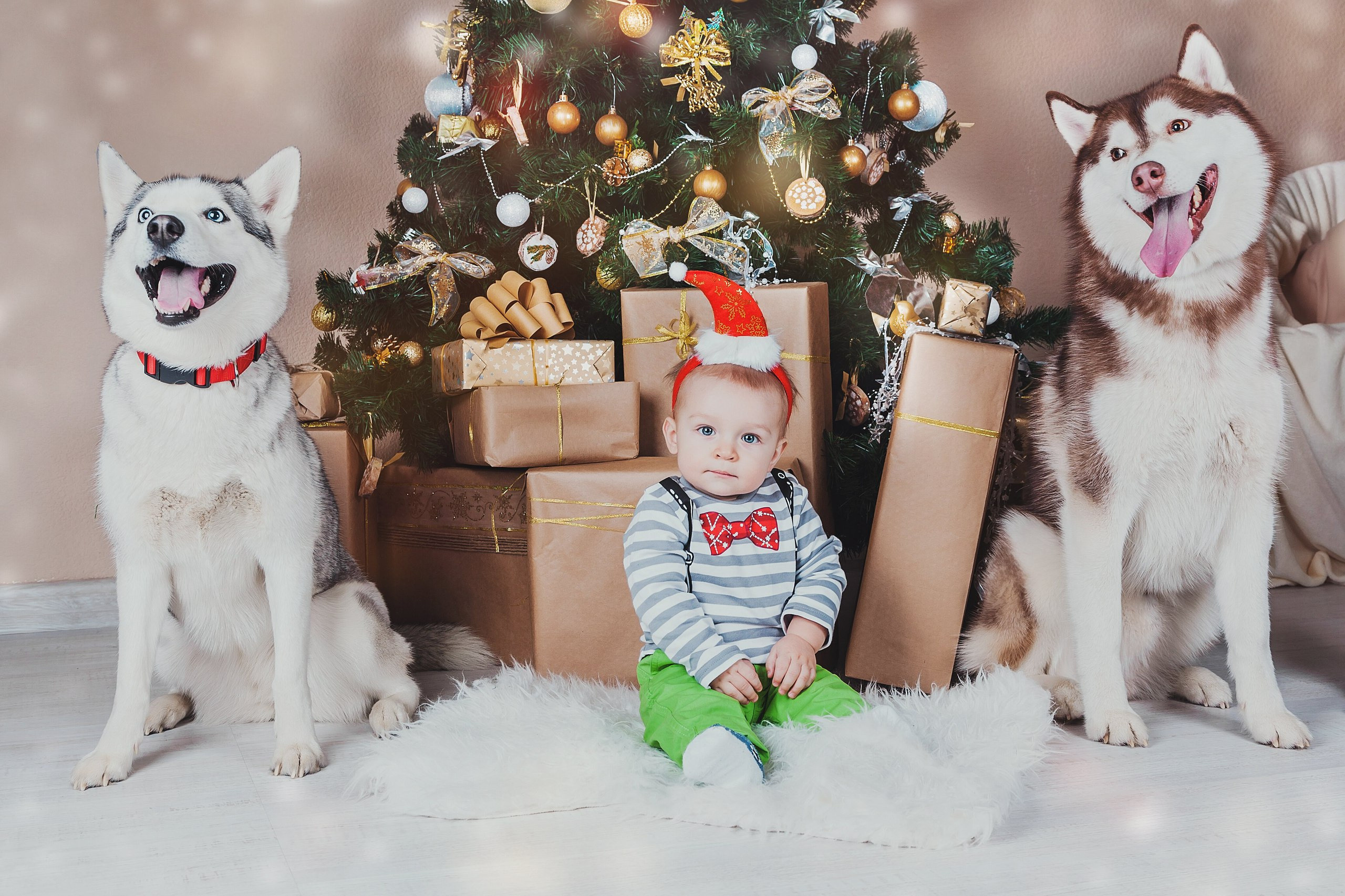 Дети (студийная съемка). Фотограф Ксения Радионова. г. Сургут