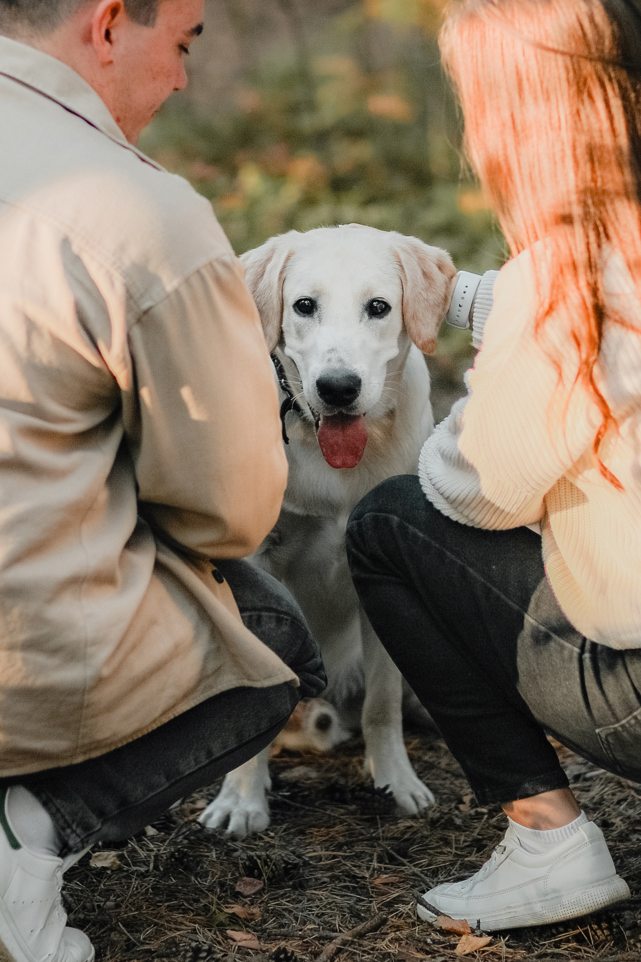 Фотографии с четвероногими друзьями. Фотограф Ксения Радионова. г. Сургут
