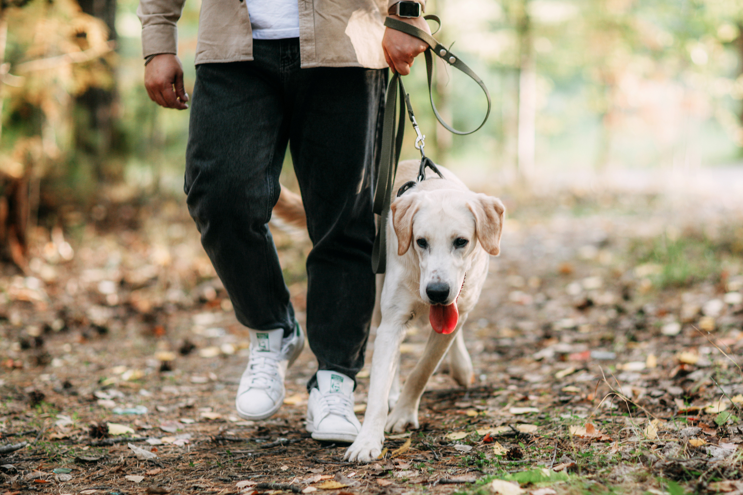 Фотографии с четвероногими друзьями. Фотограф Ксения Радионова. г. Сургут