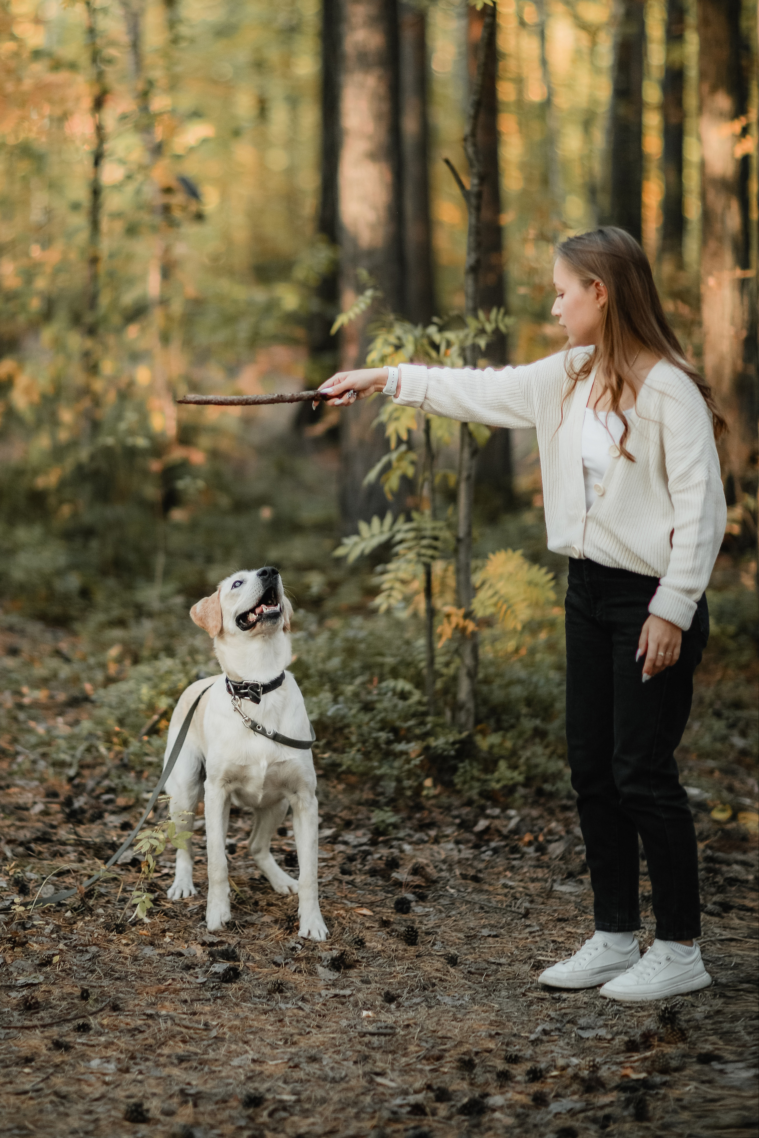 Фотографии с четвероногими друзьями. Фотограф Ксения Радионова. г. Сургут