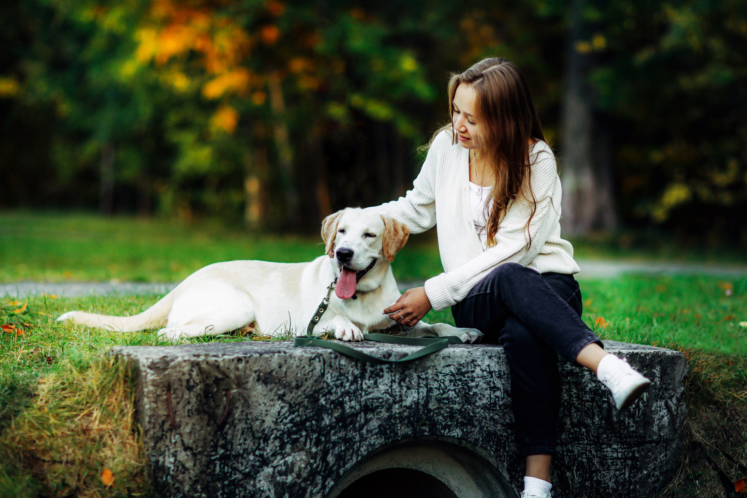 Фотографии с четвероногими друзьями. Фотограф Ксения Радионова. г. Сургут