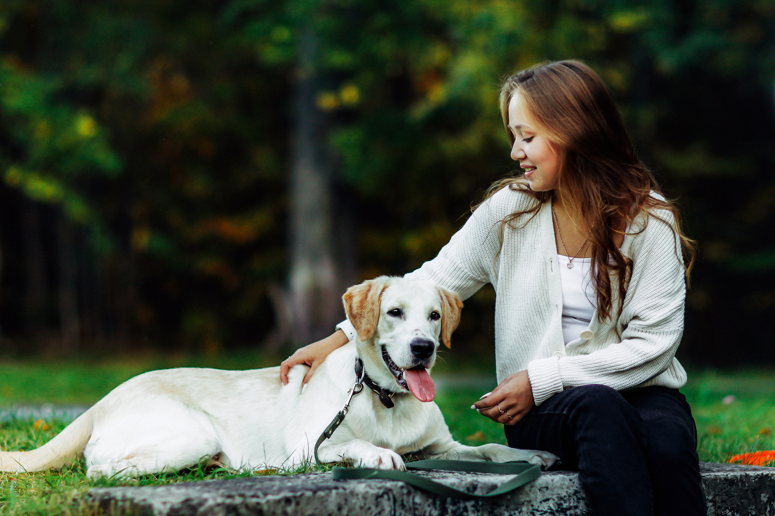 Фотографии с четвероногими друзьями. Фотограф Ксения Радионова. г. Сургут
