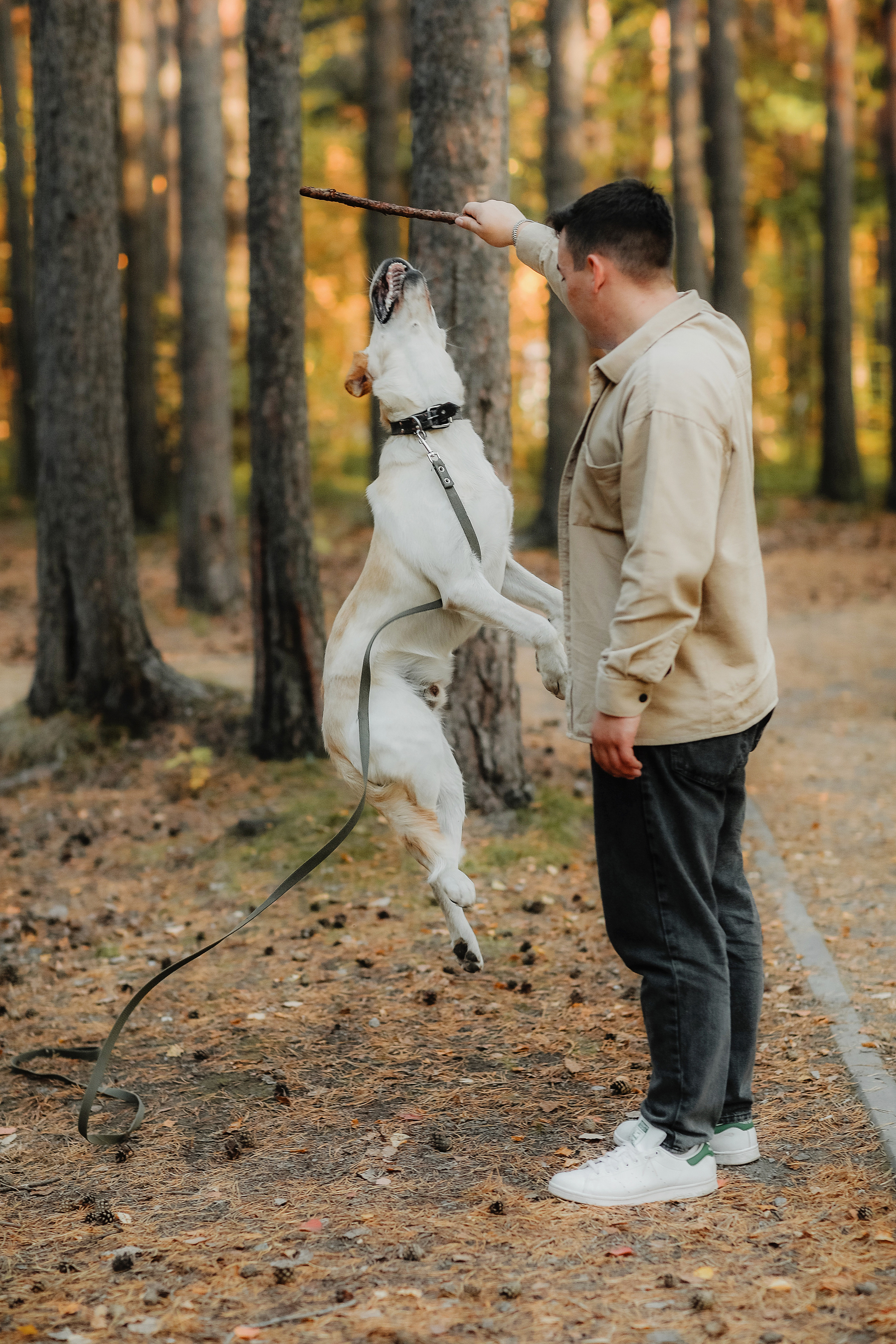 Фотографии с четвероногими друзьями. Фотограф Ксения Радионова. г. Сургут