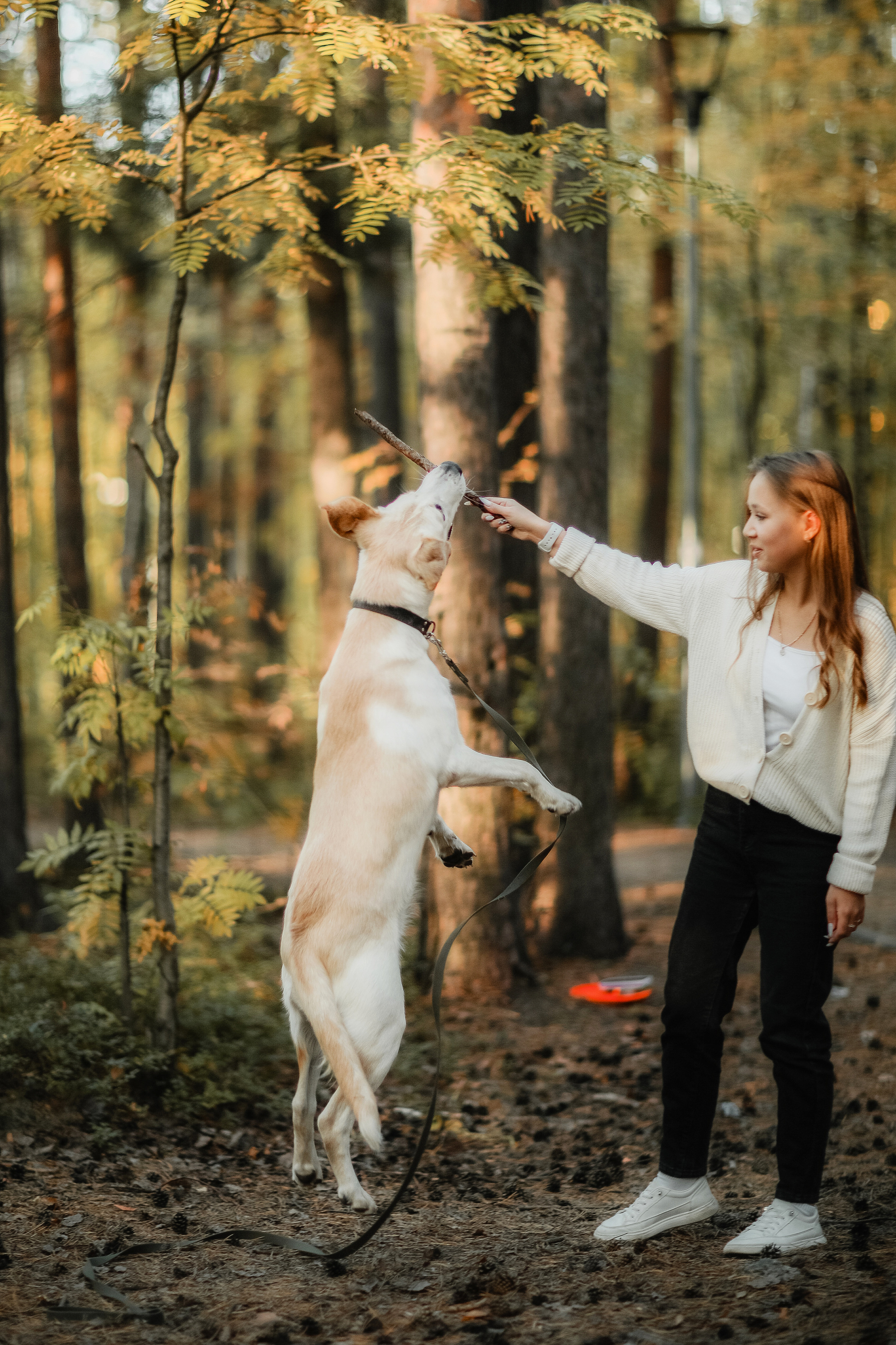 Фотографии с четвероногими друзьями. Фотограф Ксения Радионова. г. Сургут