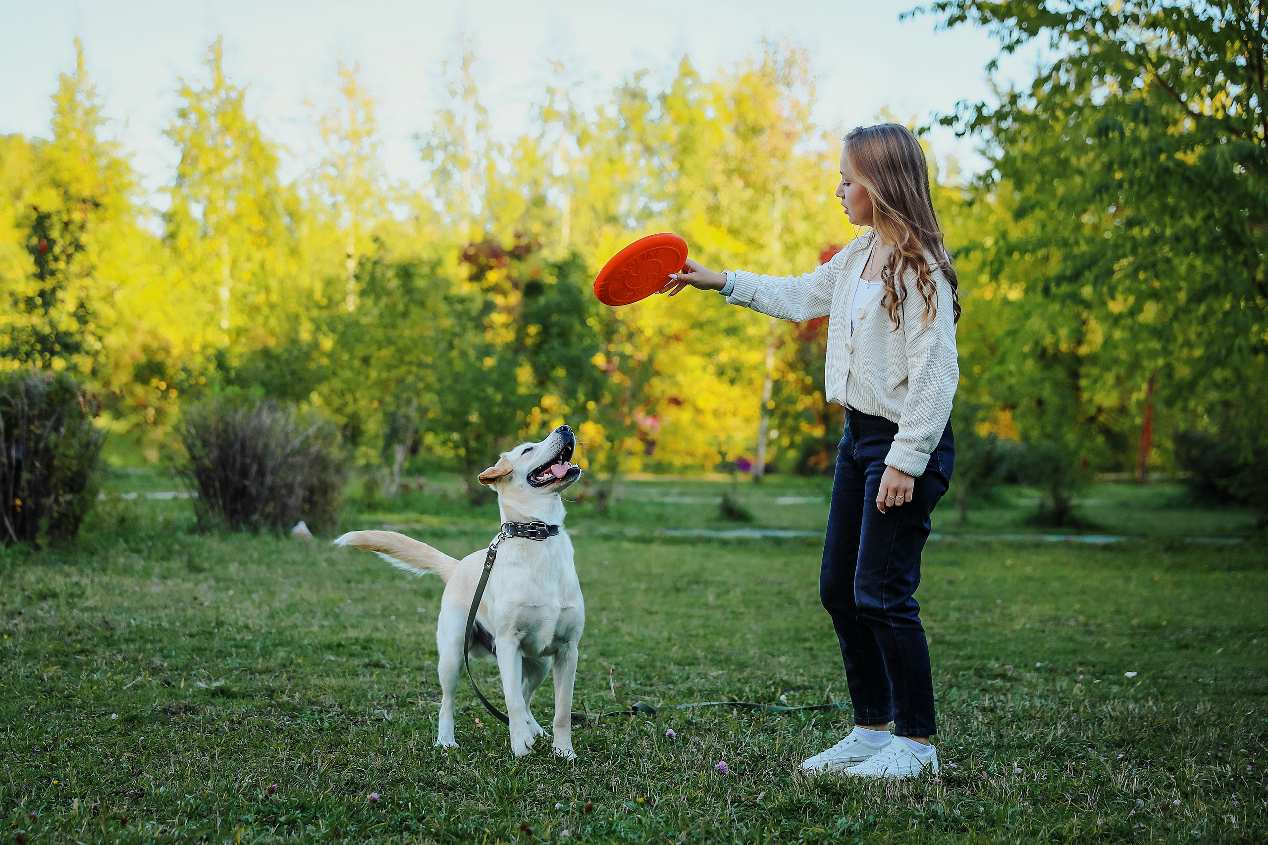 Фотографии с четвероногими друзьями. Фотограф Ксения Радионова. г. Сургут