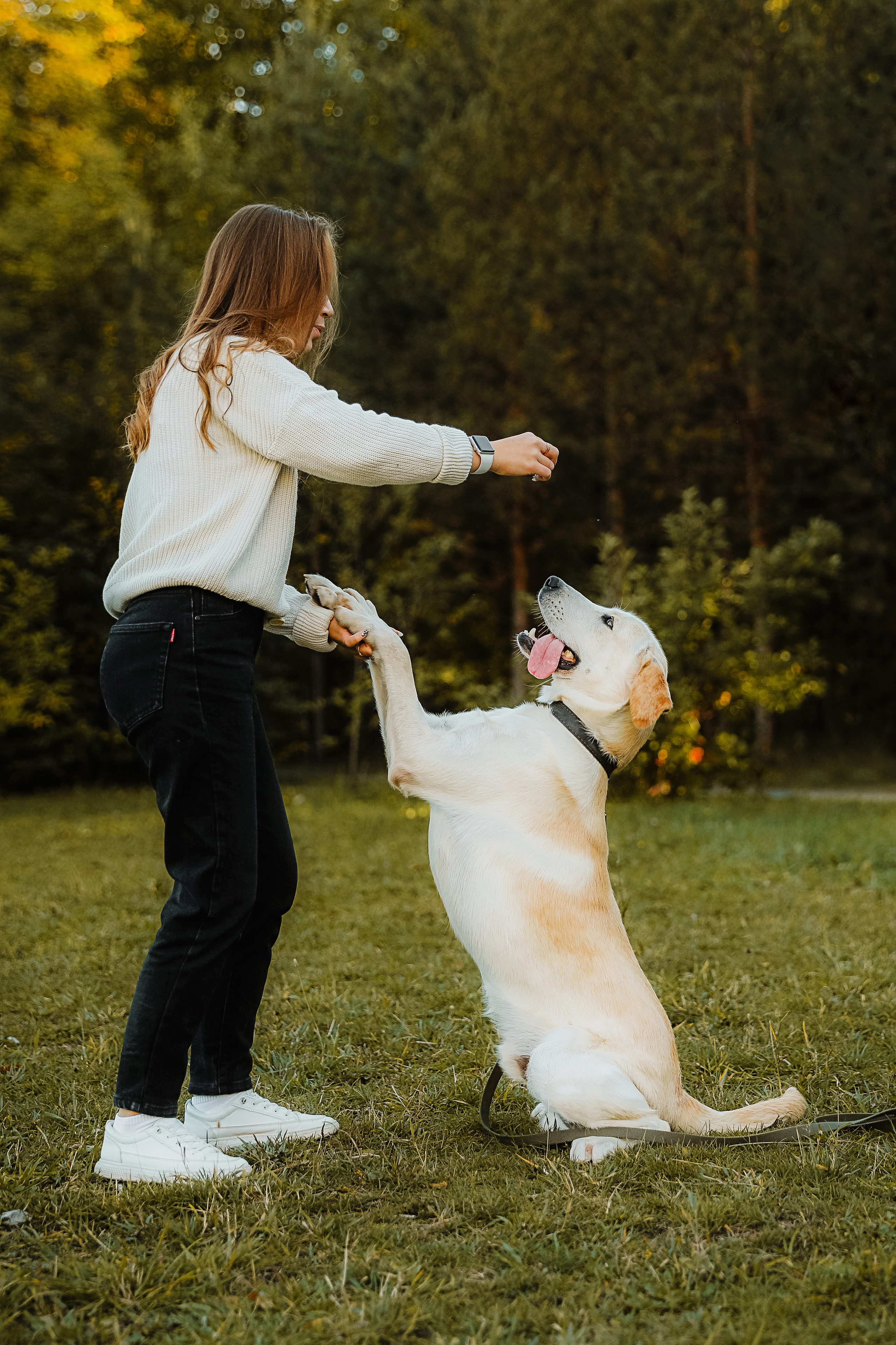 Фотографии с четвероногими друзьями. Фотограф Ксения Радионова. г. Сургут