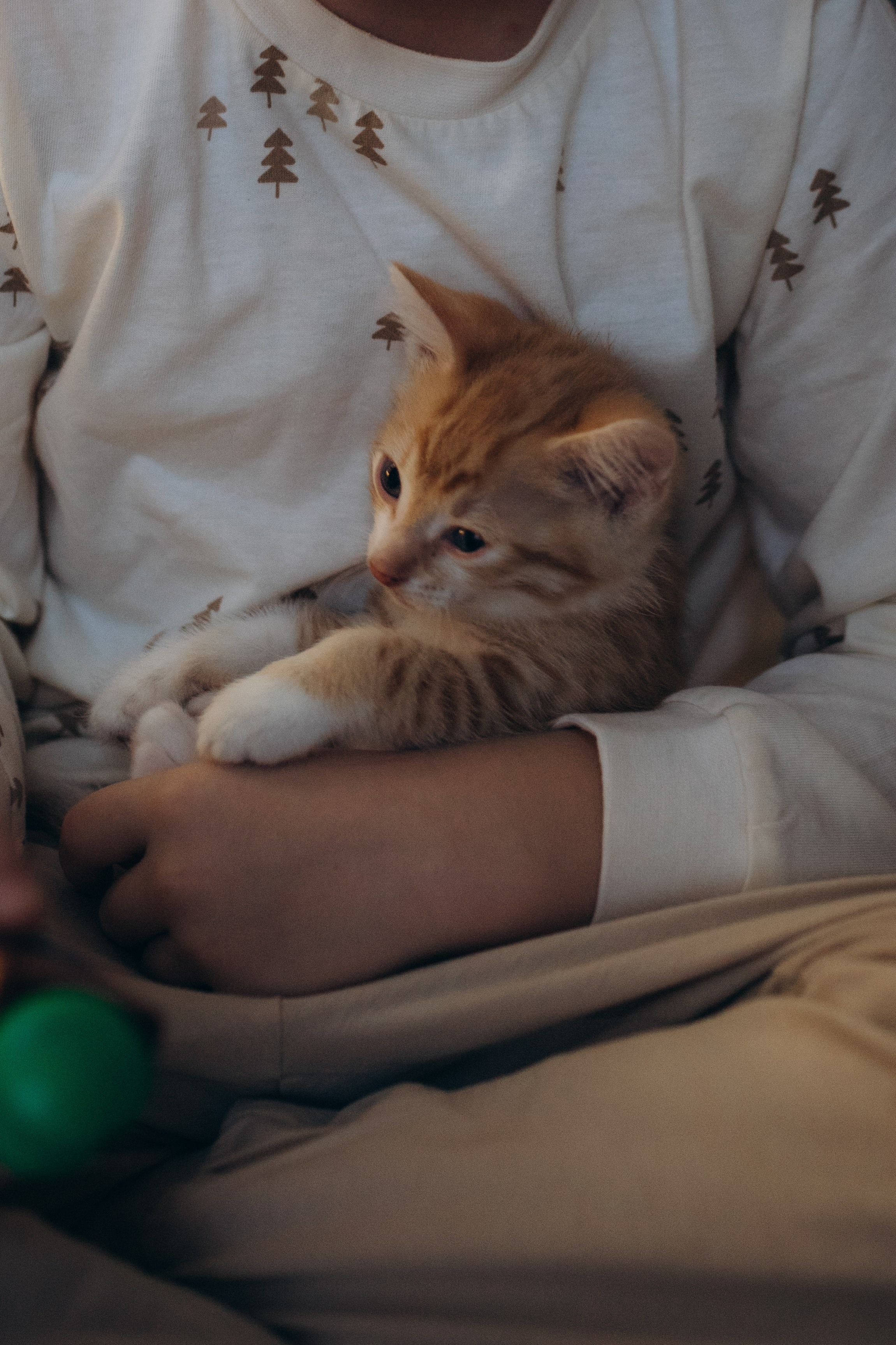 Николина и малыши. Семейный и домашний фотограф в Москве и МО Королева Валерия