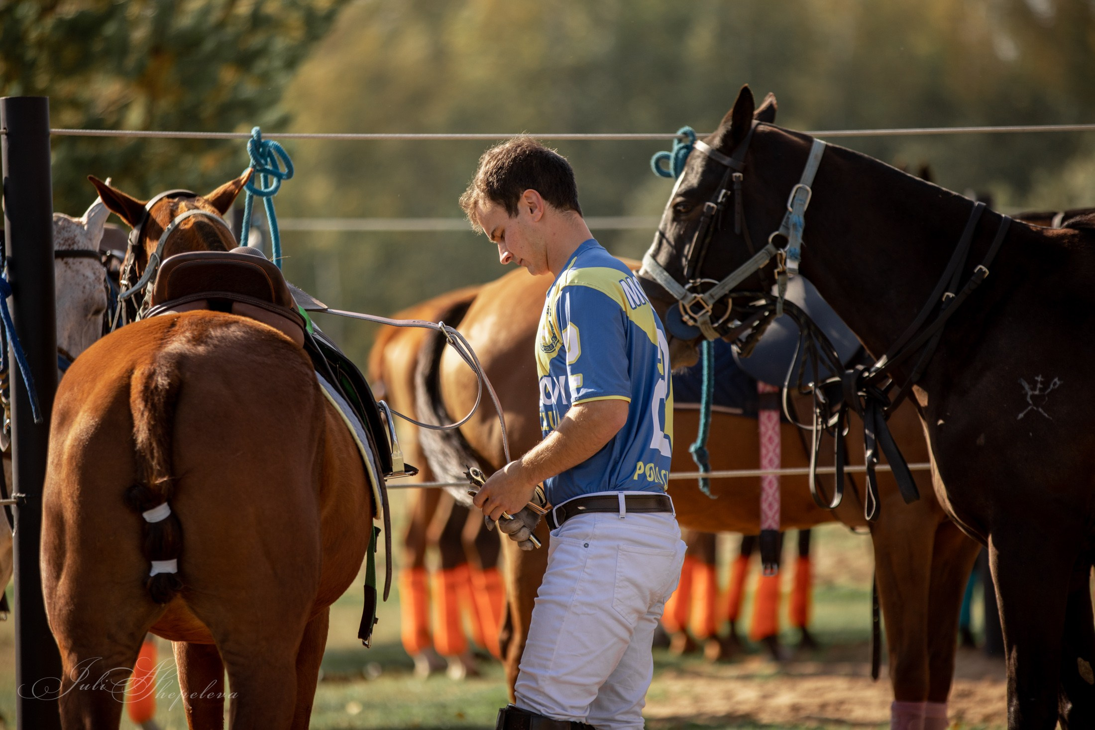 Осенний кубок по конному поло. Детская Конная фотография в Москве Юлия Шепелева