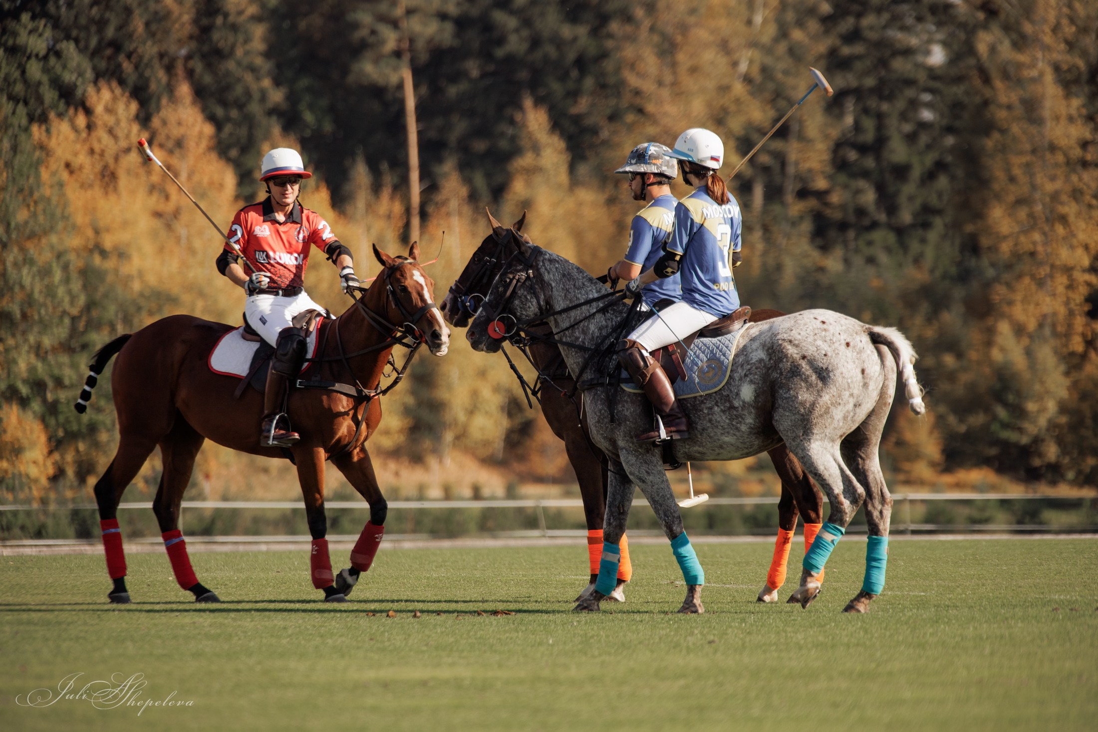 Осенний кубок по конному поло. Детская Конная фотография в Москве Юлия Шепелева