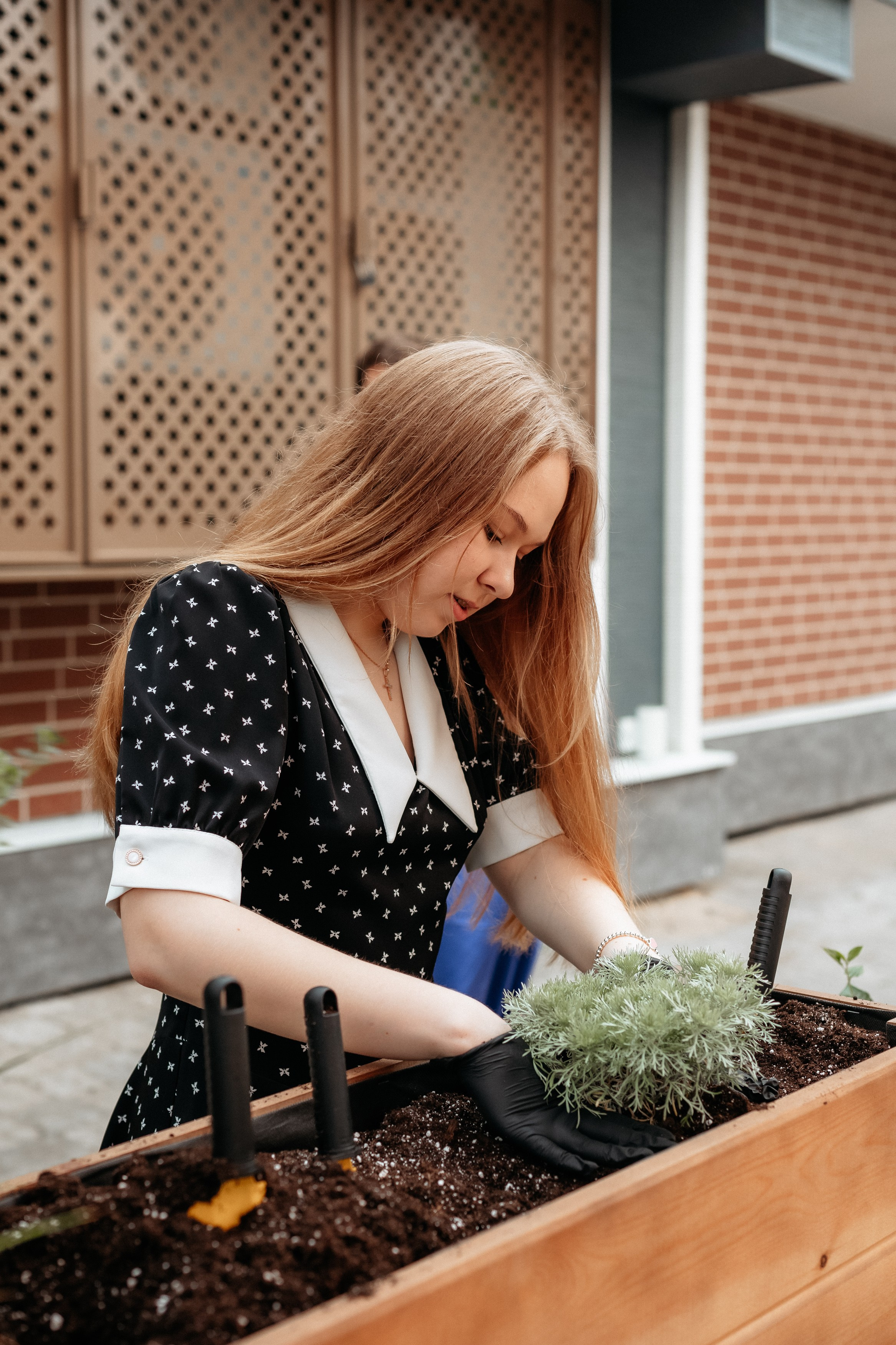 РЕСНОТА — ОТКРЫТИЕ ТЕРРАСЫ. СВОИ. ФОТООТЧЕТЫ-СОБЫТИЯ-МЕСТА