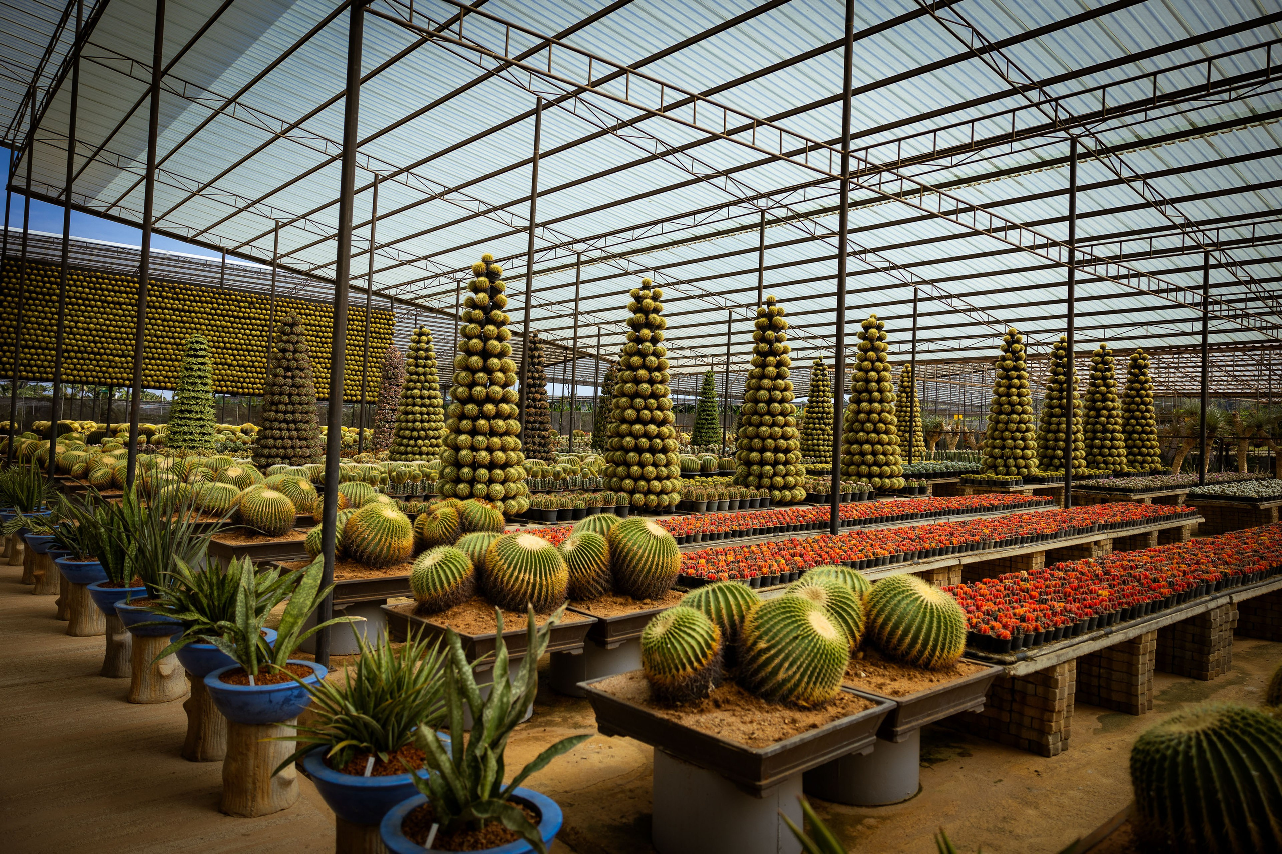 Таиланд (зима 2025). Фотограф Виноградов Константин