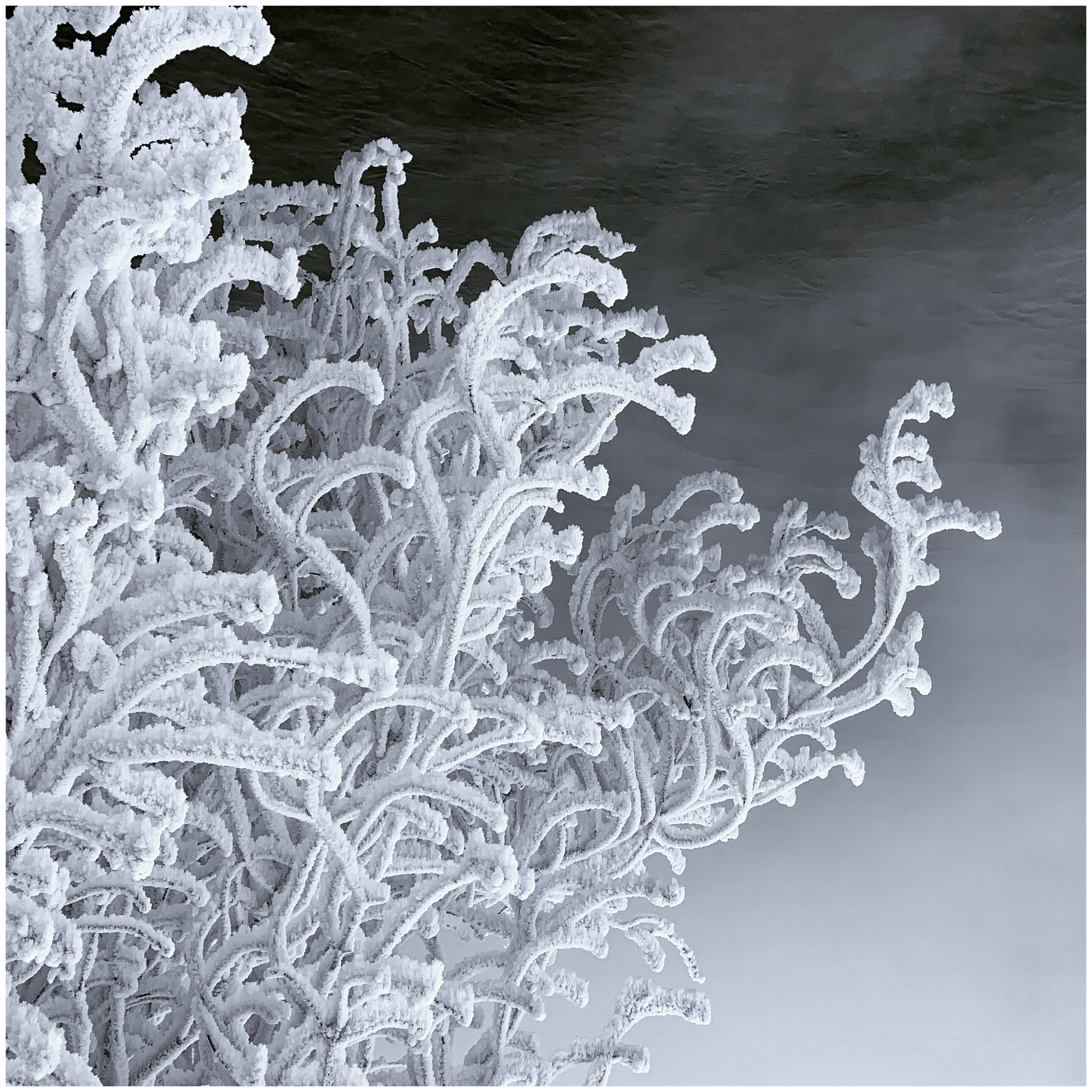 2021. Тащилин Сергей. Фотографии. Жизнь. Хобби