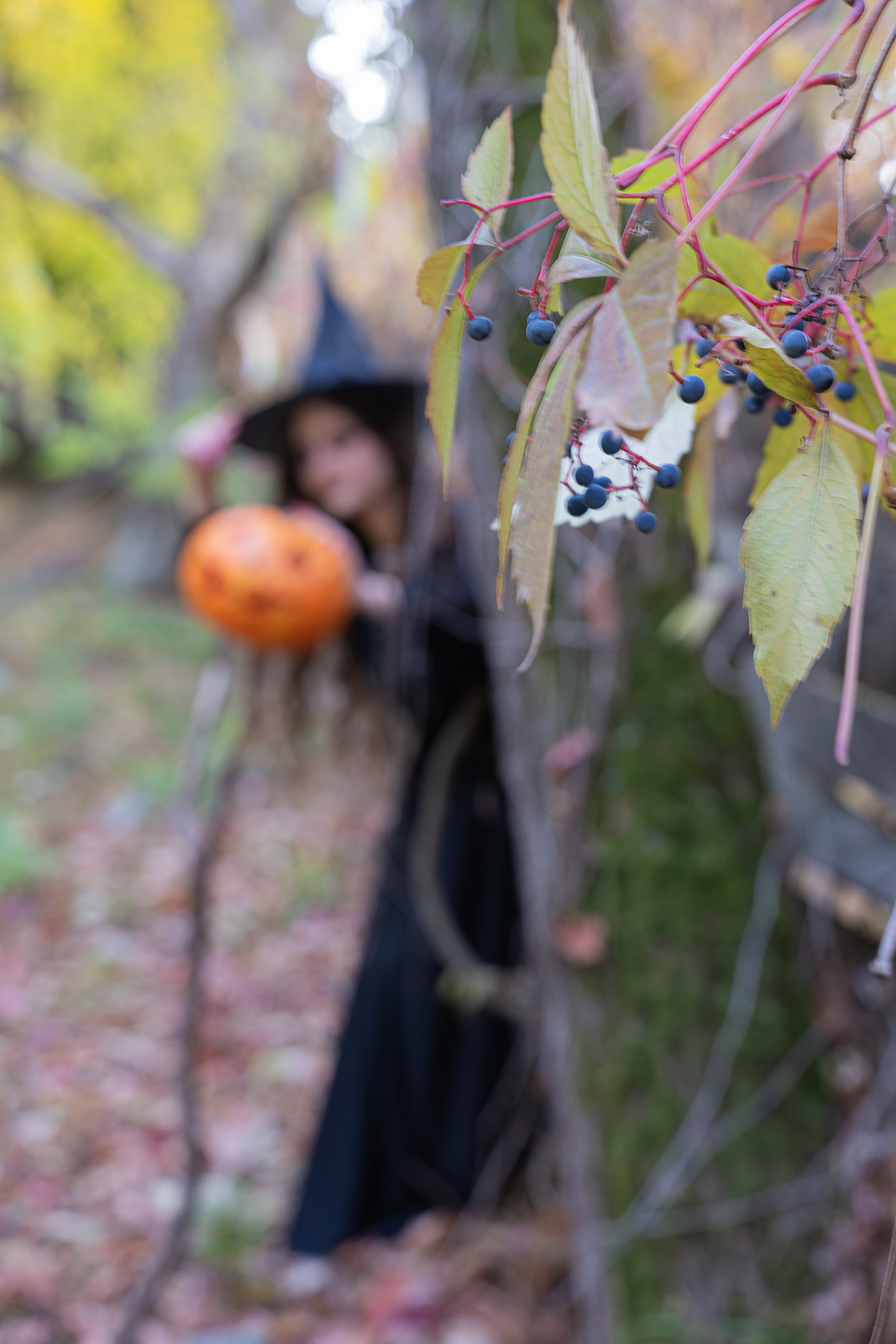 ХЕЛЛОУИН (вне студии). Главная