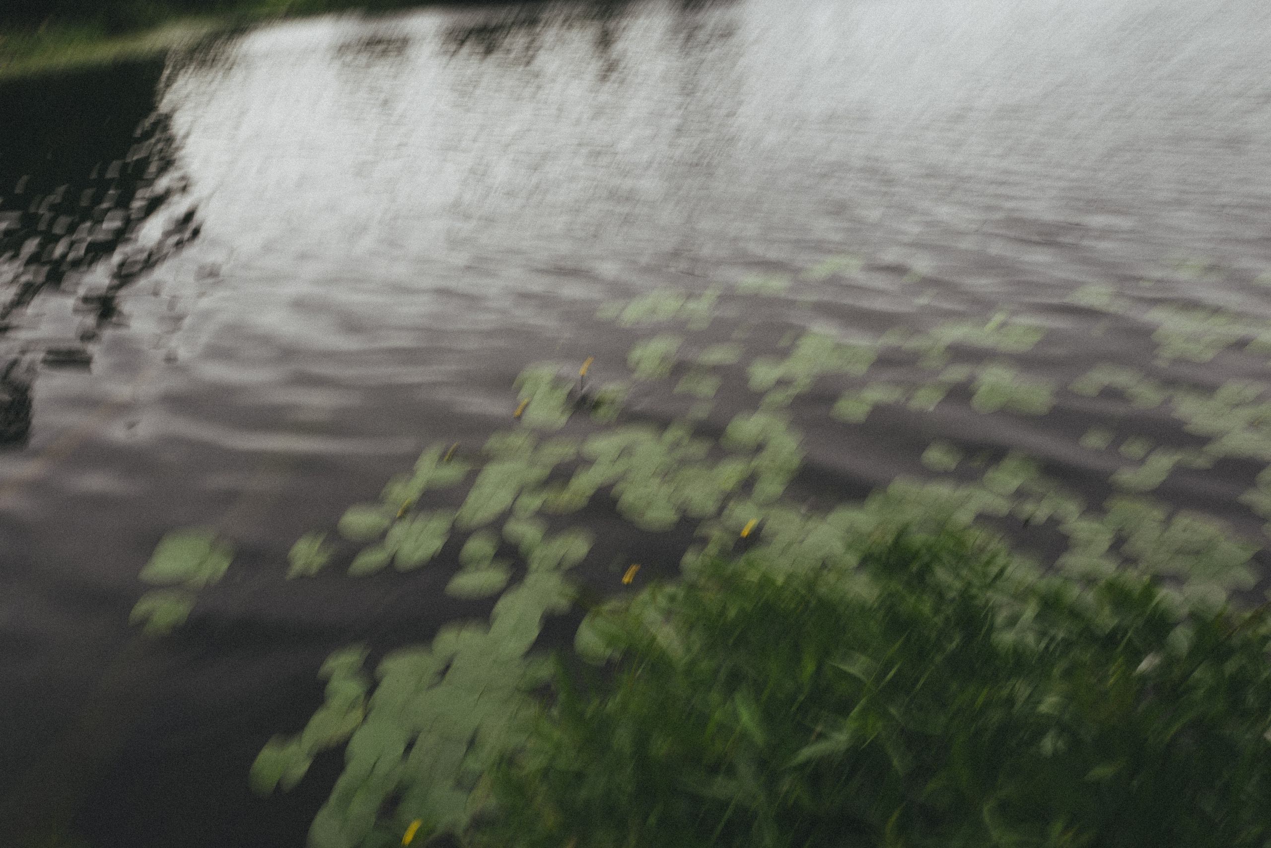 Happy Birthday, Alina ♥️. <3